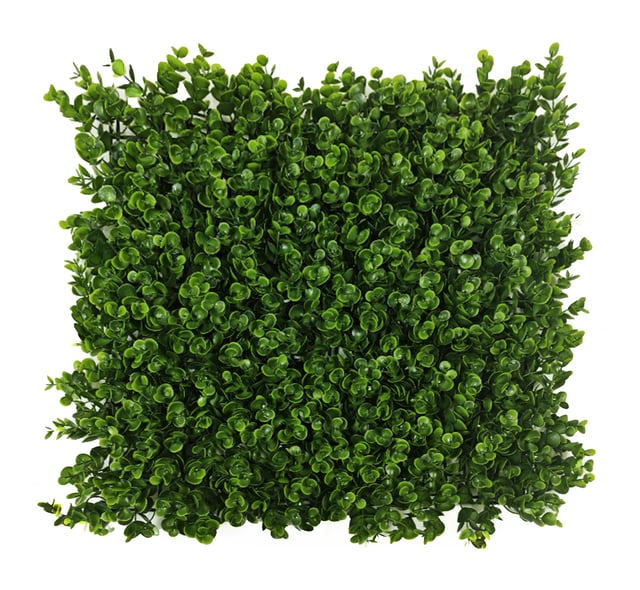 Jardín vertical eucalipto verde SINDER 50x50 cm