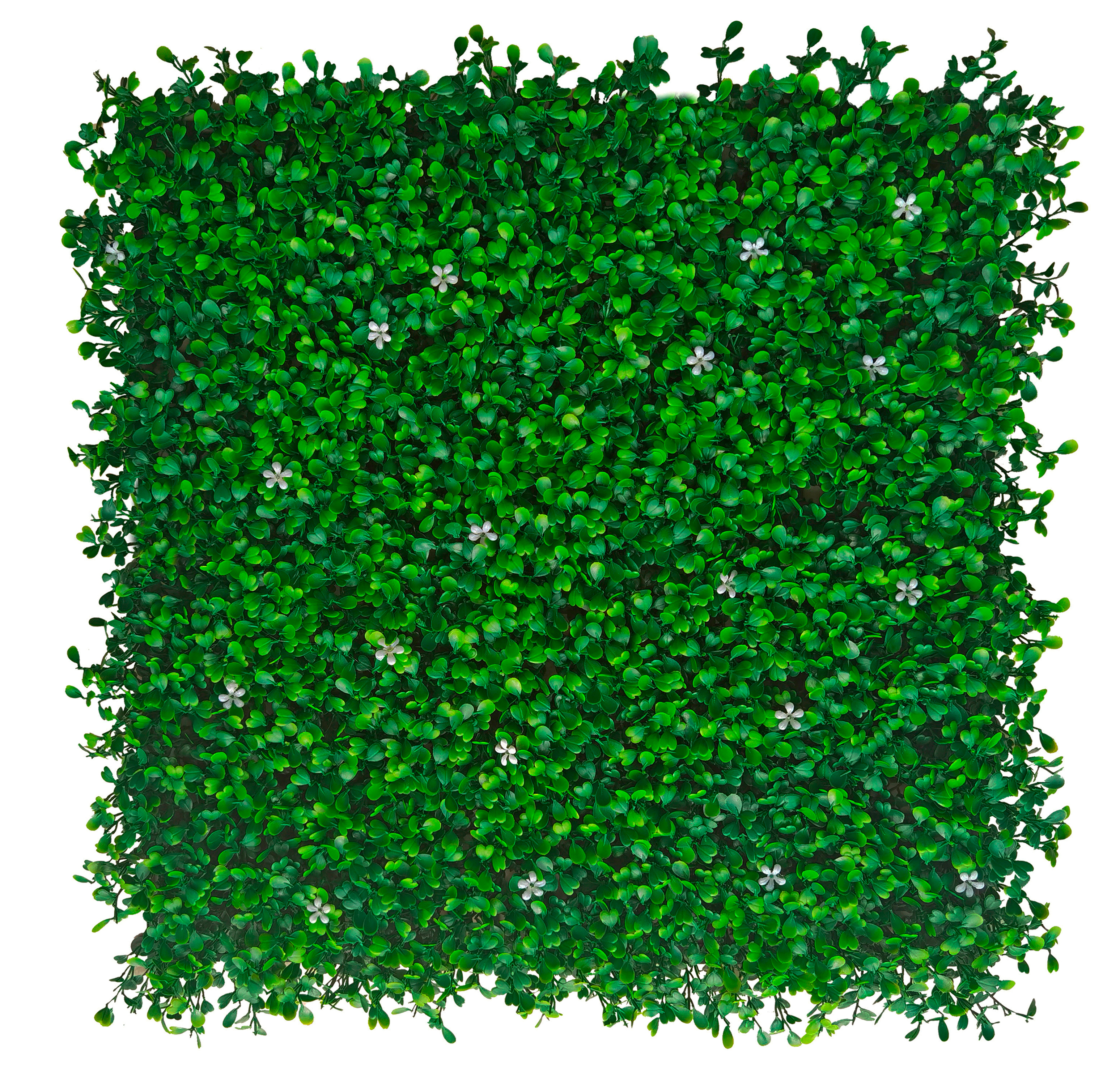 Jardín vertical boj verde sinder con flores 50x50 cm