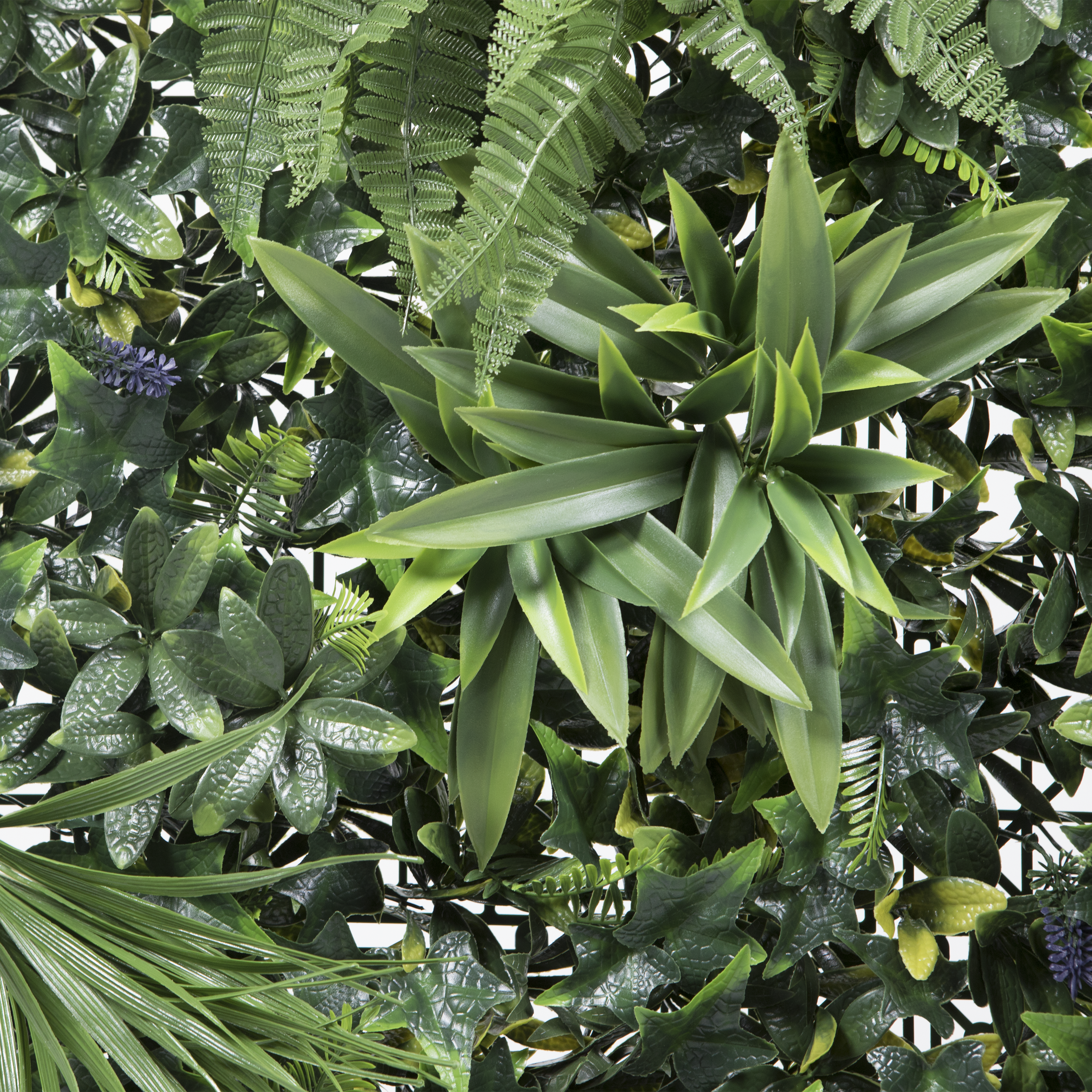 Jardín vertical Tropical NATERIAL 50x50cm - 6