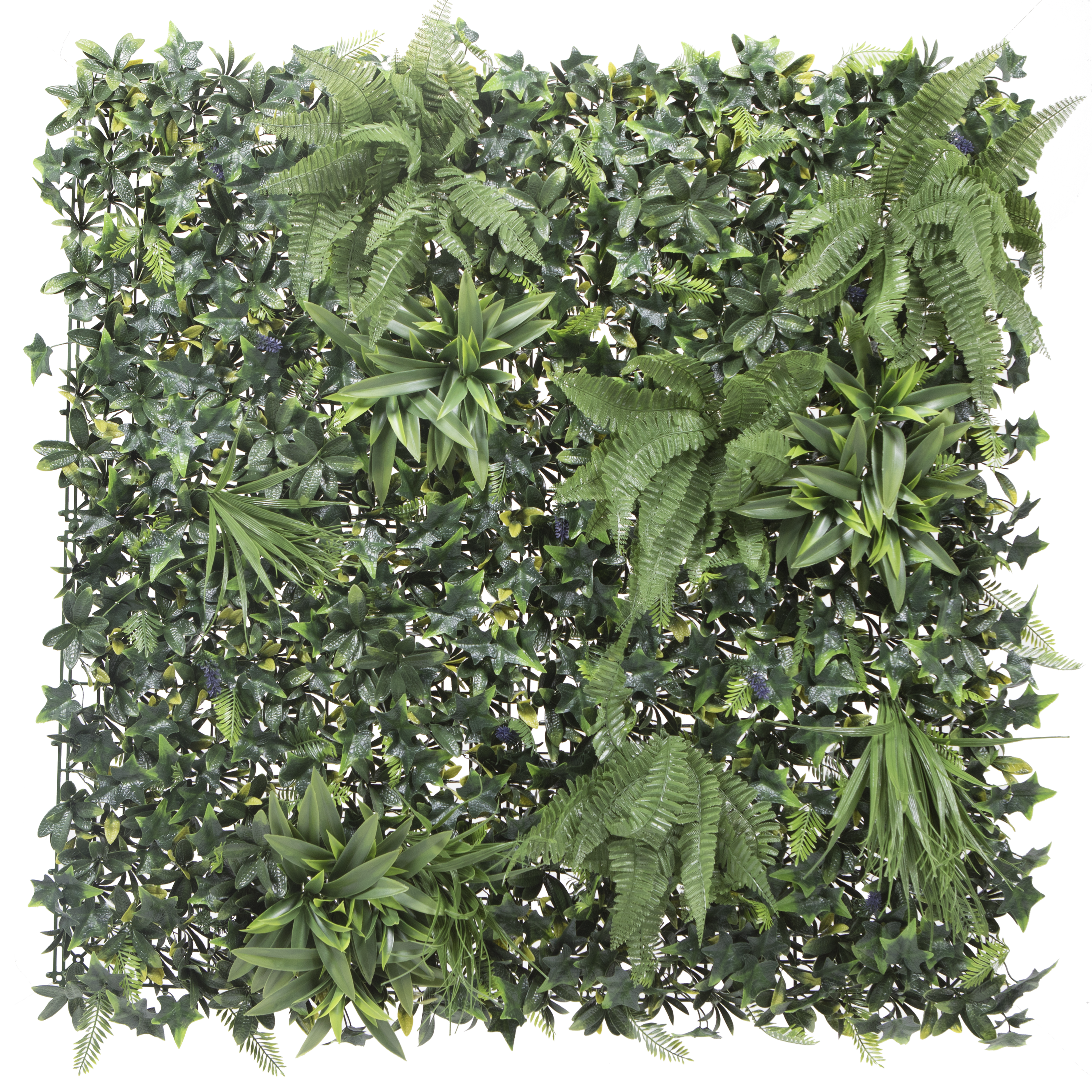 Panel osłonowy Żywopłot tropikalny zew 50x50 cm Naterial