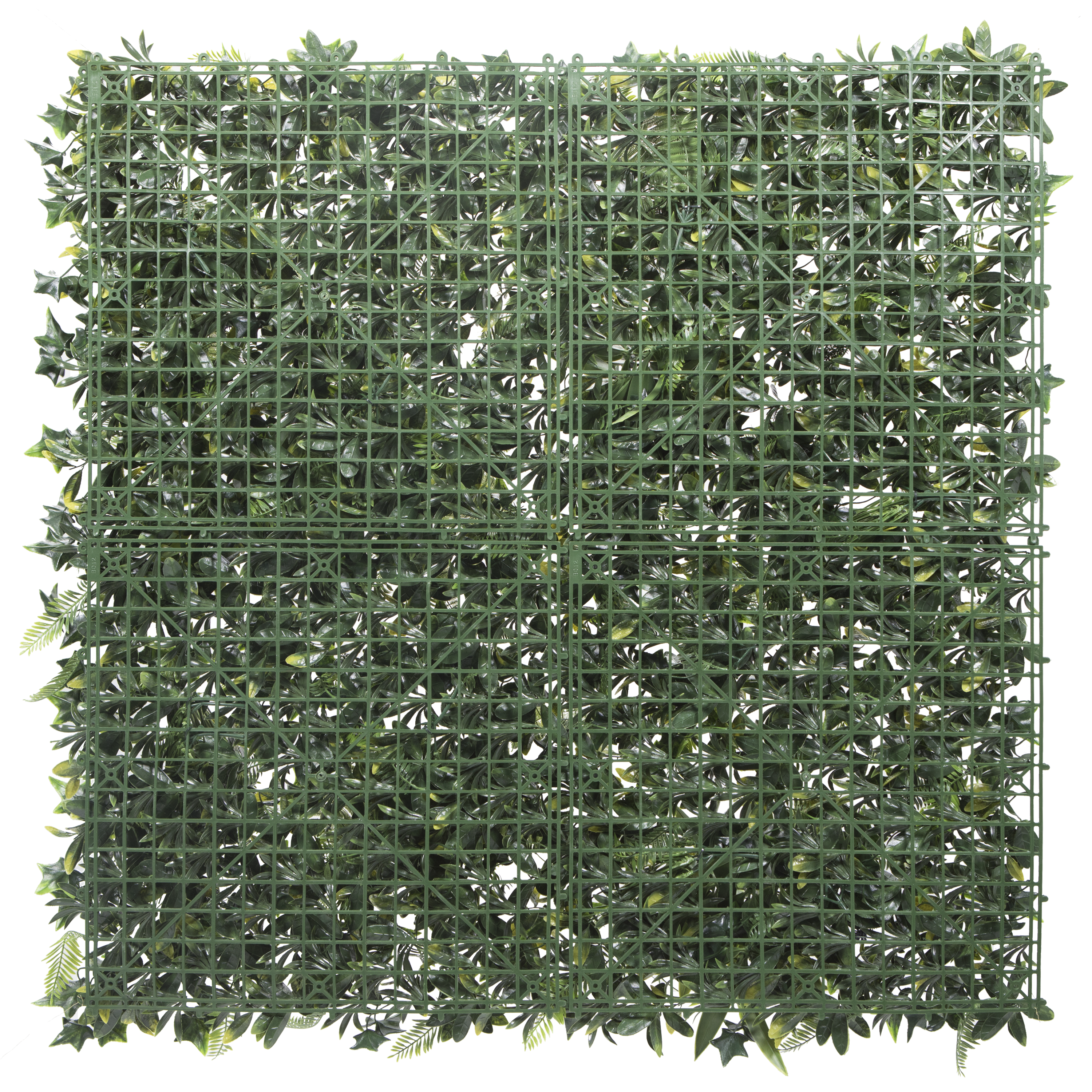 Jardín vertical Tropical NATERIAL 50x50cm - 2