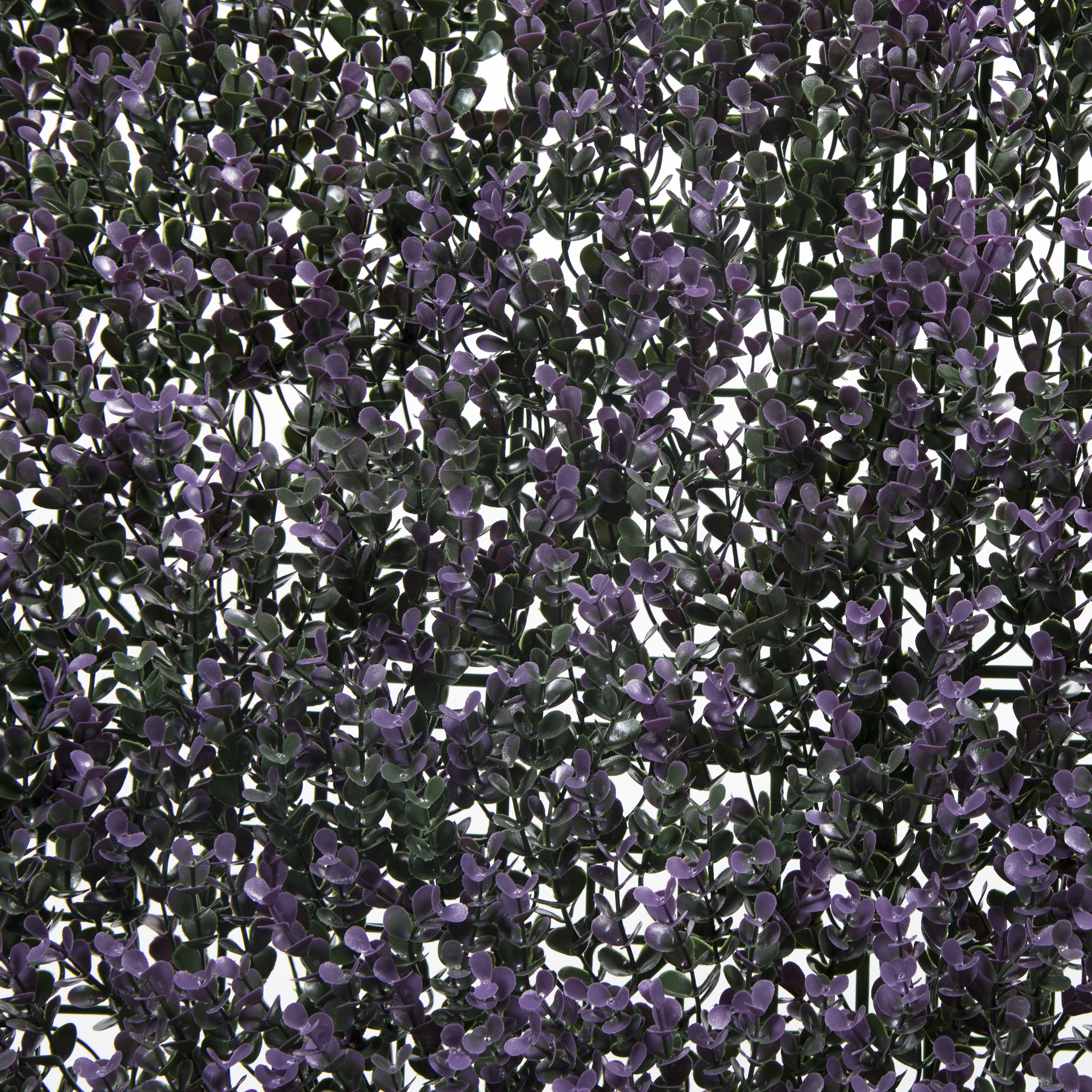 Jardín vertical Lavanda NATERIAL 1x1 m - 5