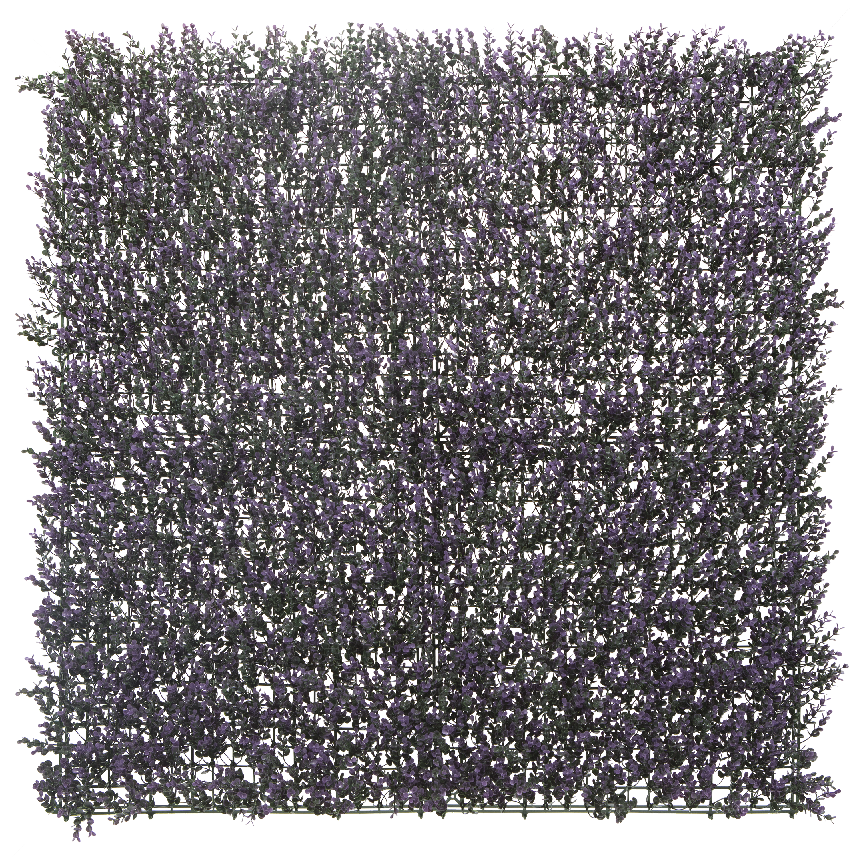 Panel osłonowy Żywopłot Lavanda Vinca 100x100 cm Naterial