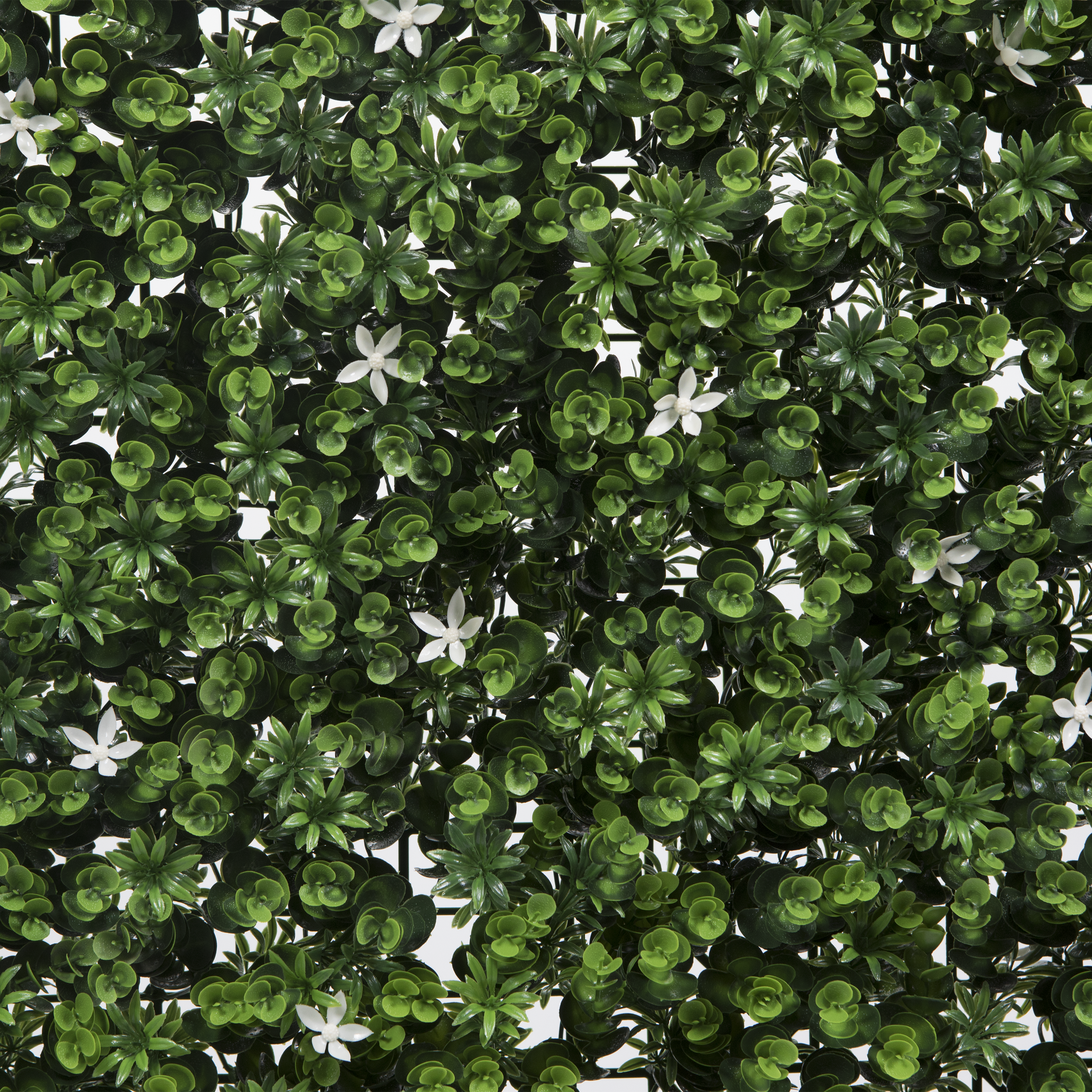 Jardín vertical Flowers NATERIAL 1x1 m - 7