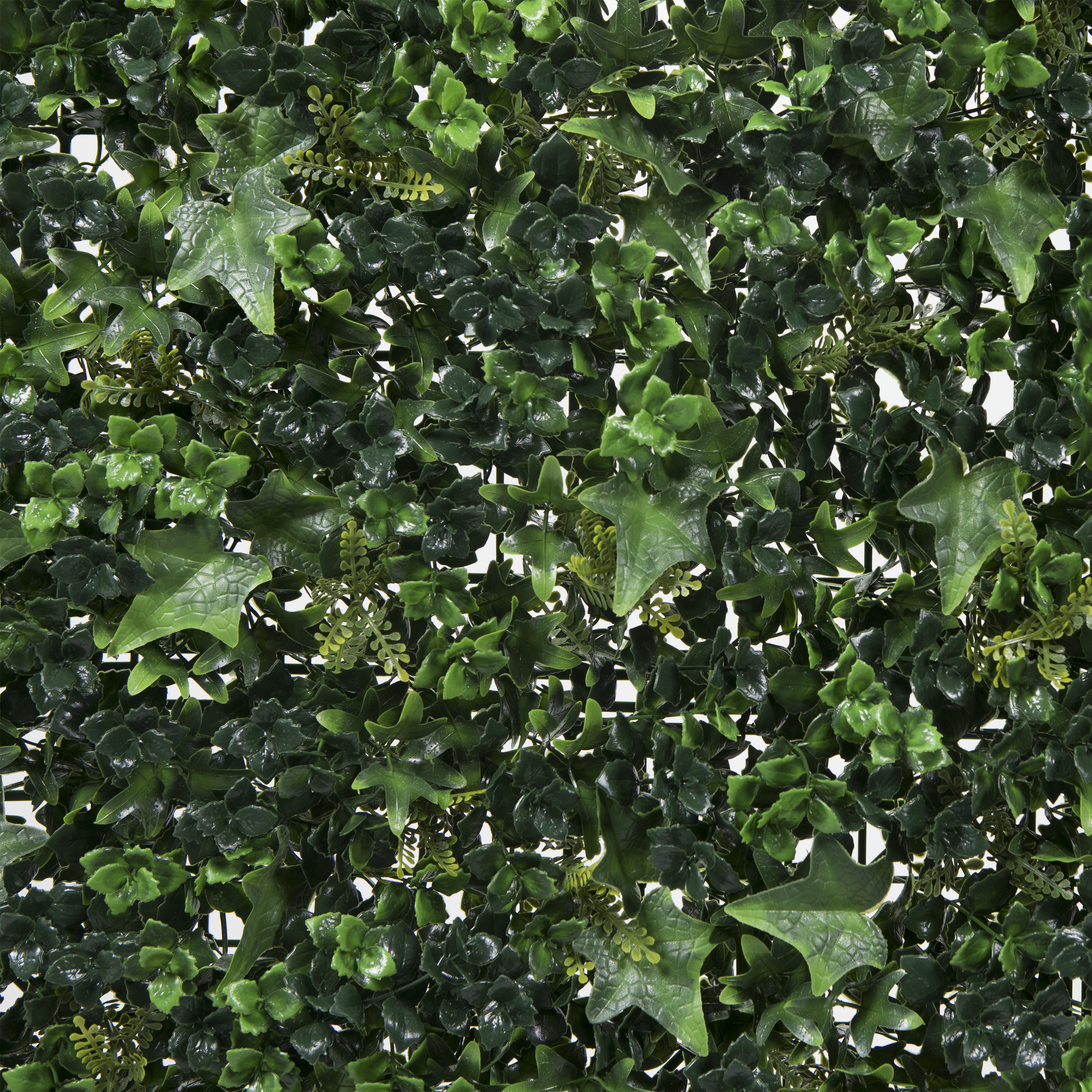 Jardín vertical Countryside NATERIAL 1x1 m - 6