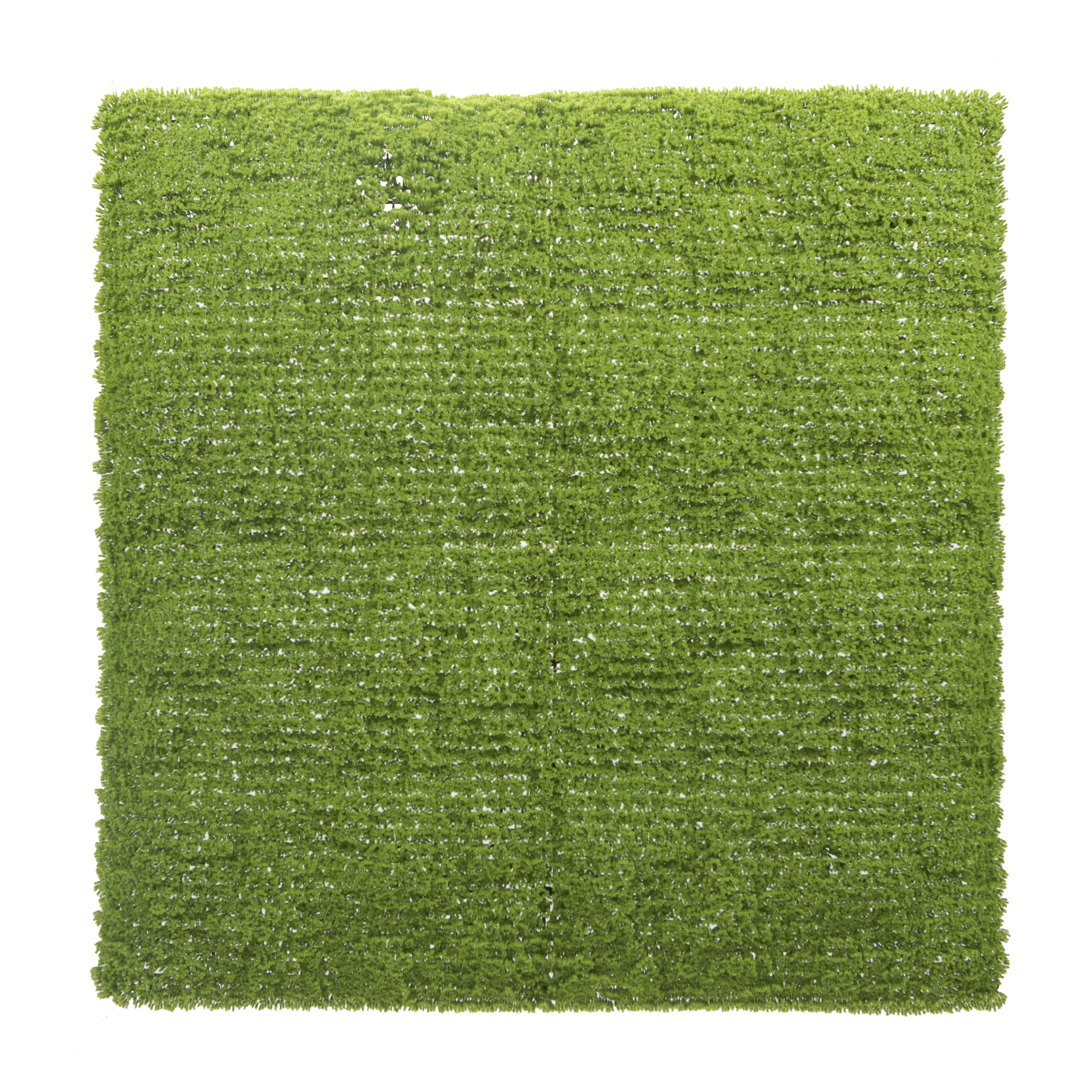 Panel osłonowy Żywopłot trawa mech 100x100 cm Naterial