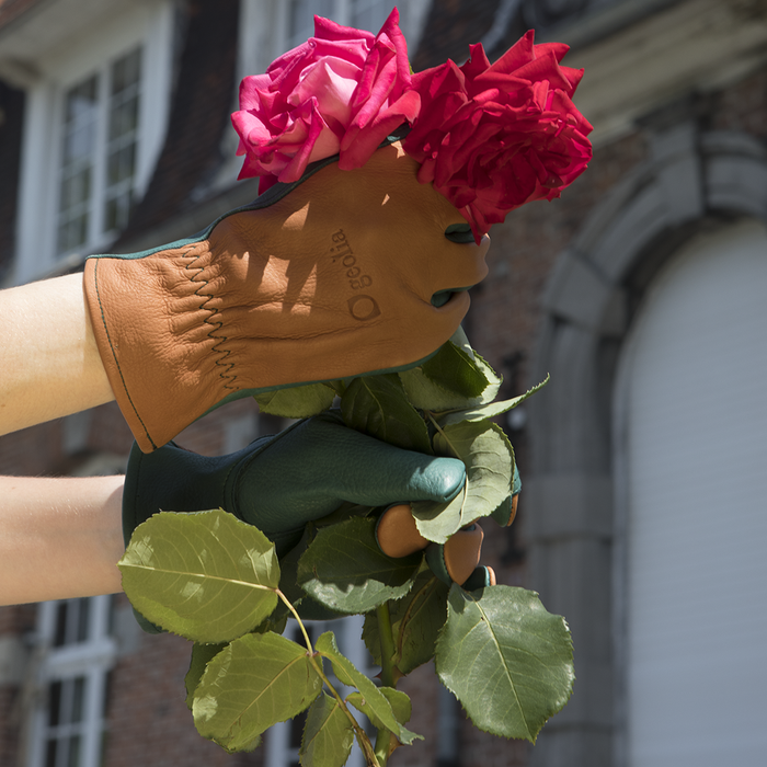 gants-cuir-geolia-cuir-int gral