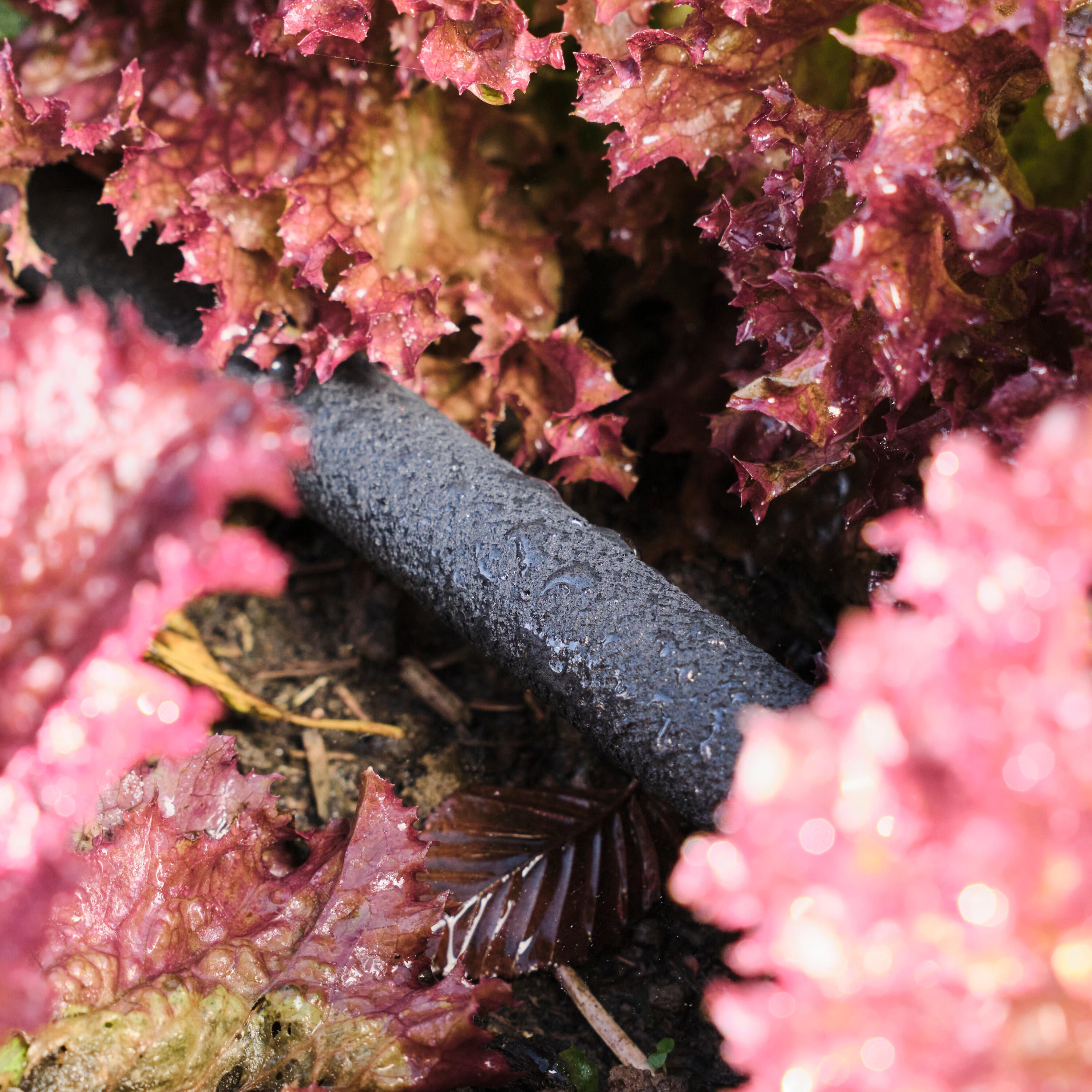 Tubo poroso GEOLIA caucho de estireno butadieno (sbr) de 25 m y 17.7 mm - 10