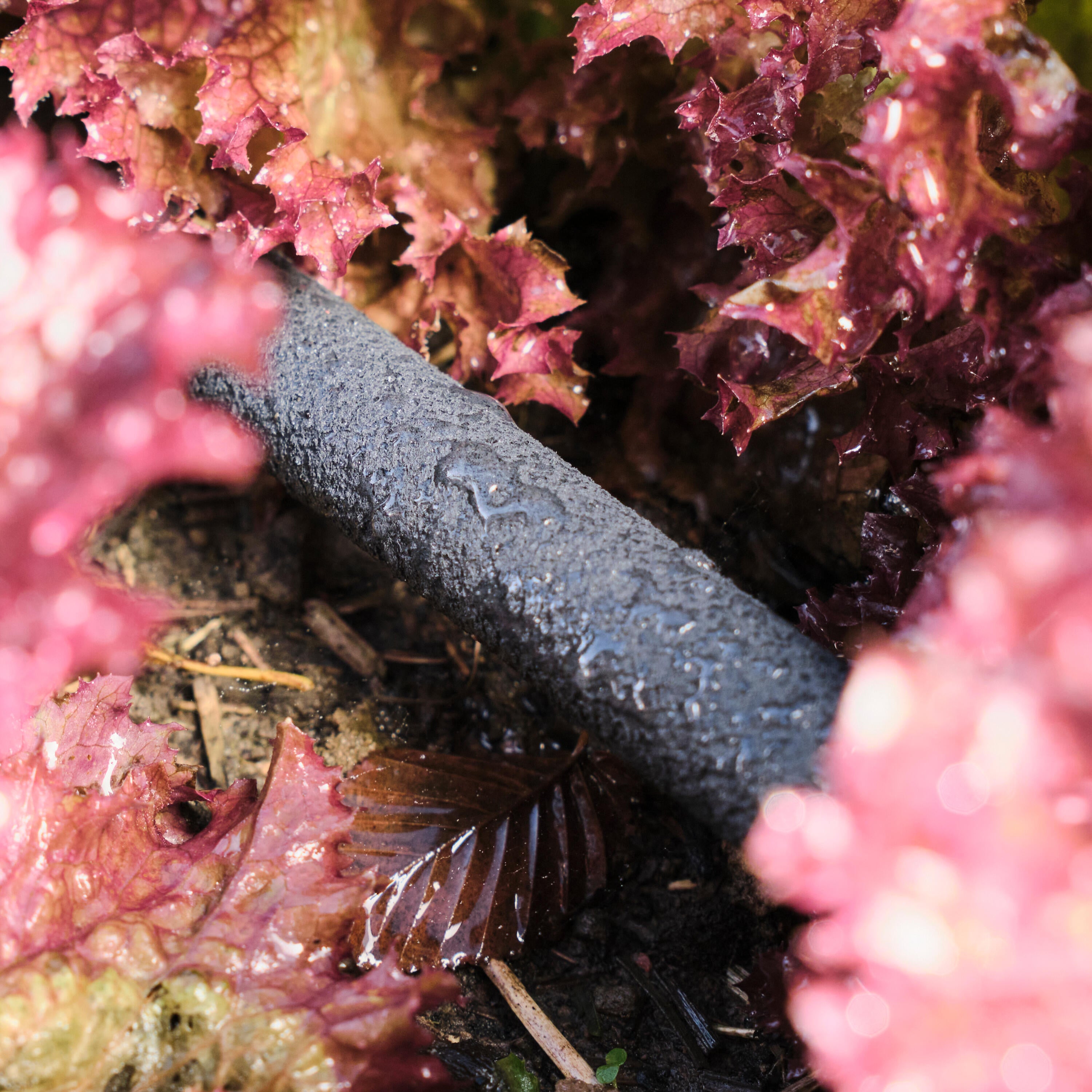 Tubo poroso GEOLIA caucho de estireno butadieno (sbr) de 25 m y 17.7 mm - 11