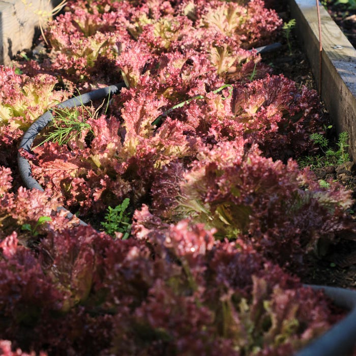 kit-tubo-poroso-L15-use-geolia