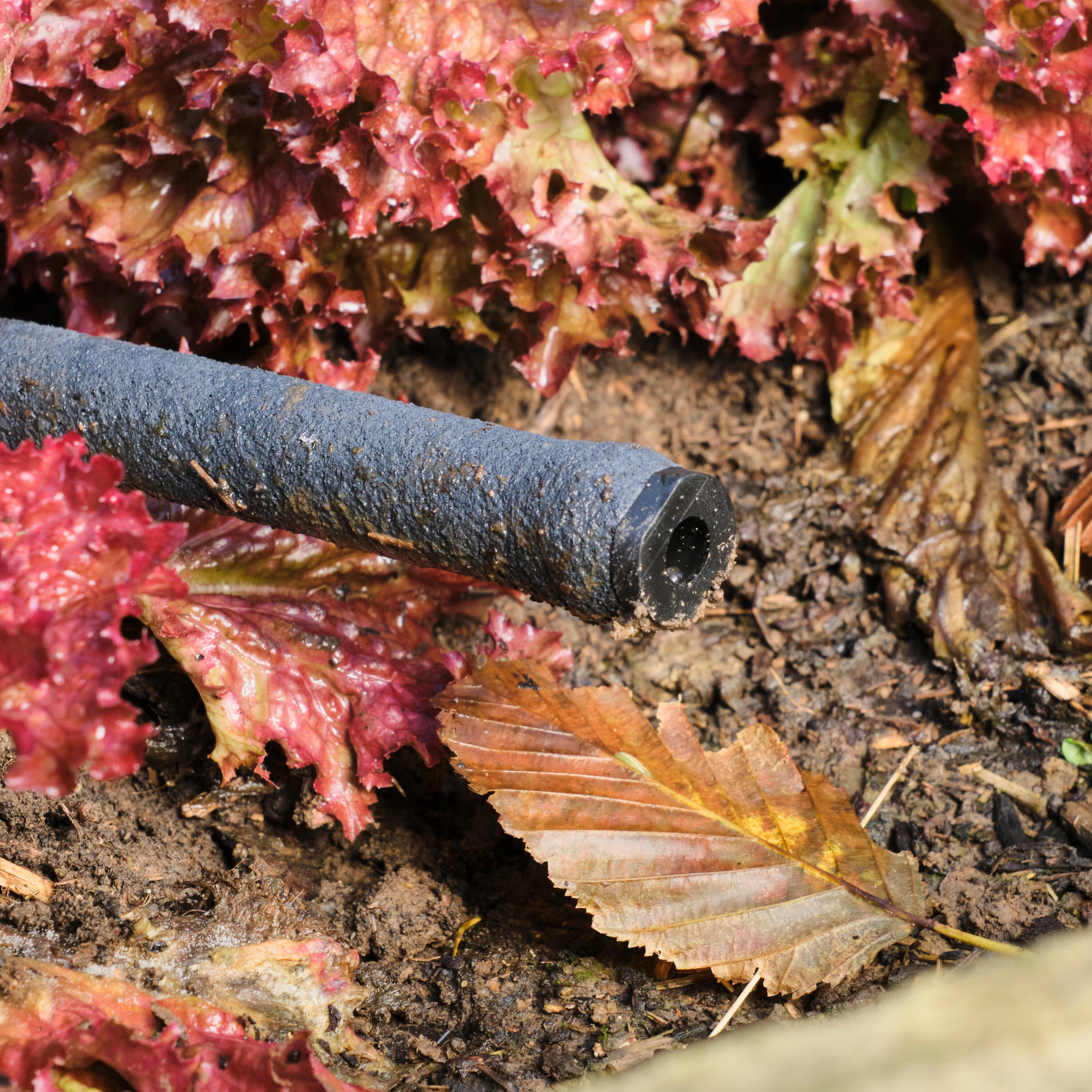 Kit tuyau poreux GEOLIA L.25 m Diam.12.3 mm - 3