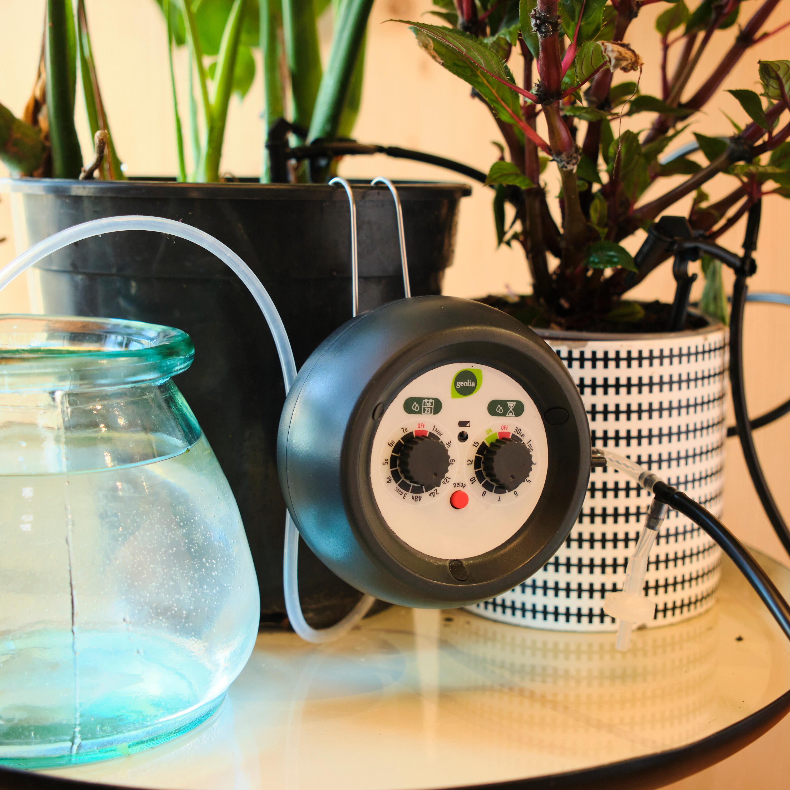 Kit goutte à goutte 12 pots + minuteur GEOLIA L.10 m Diam.4 mm - 2