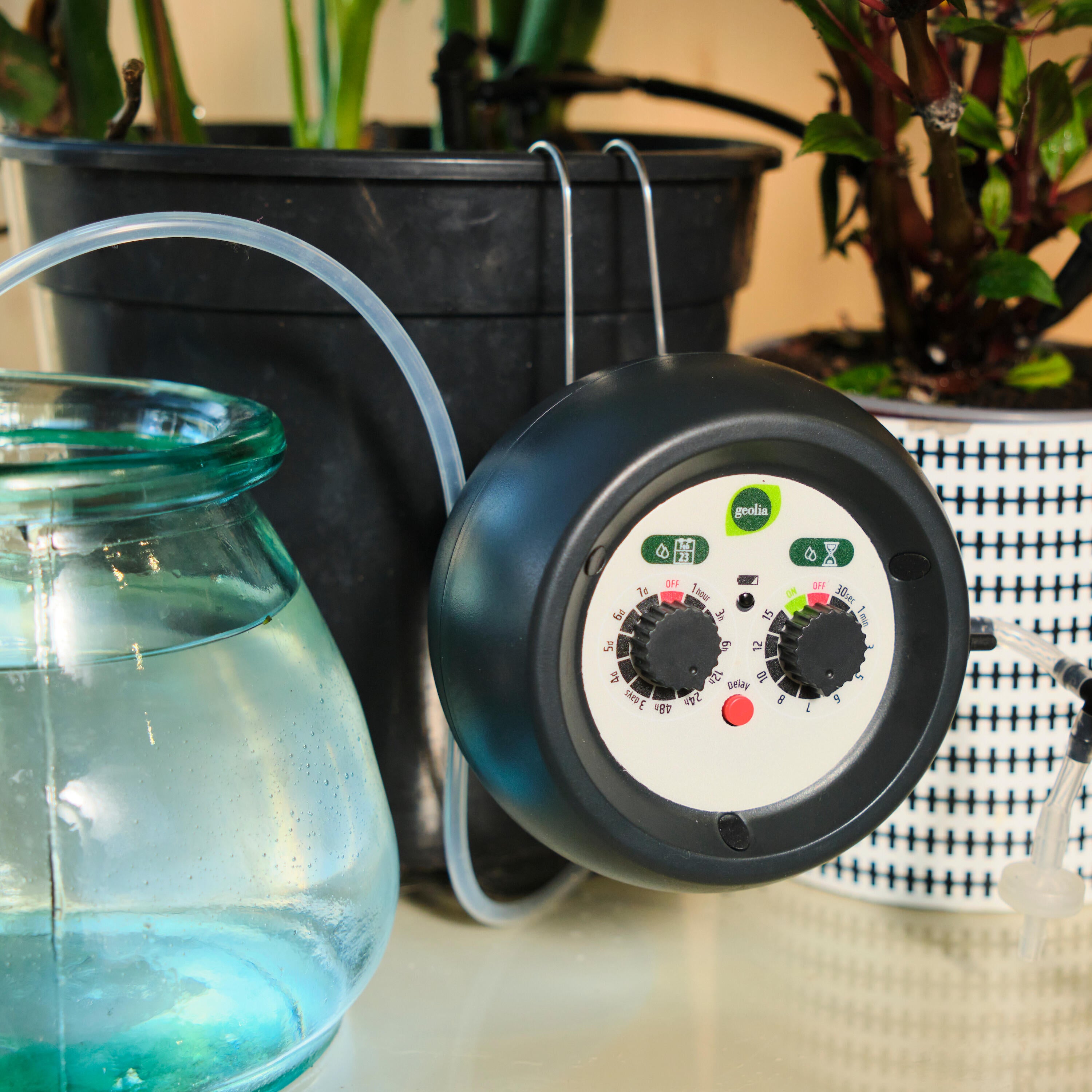 Kit goutte à goutte 12 pots + minuteur GEOLIA L.10 m Diam.4 mm - 3