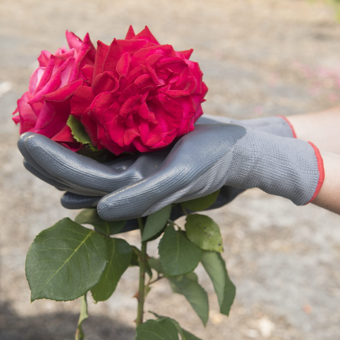 Paire de  gants pour les travaux de jardinage nitrile, T 8 - 2