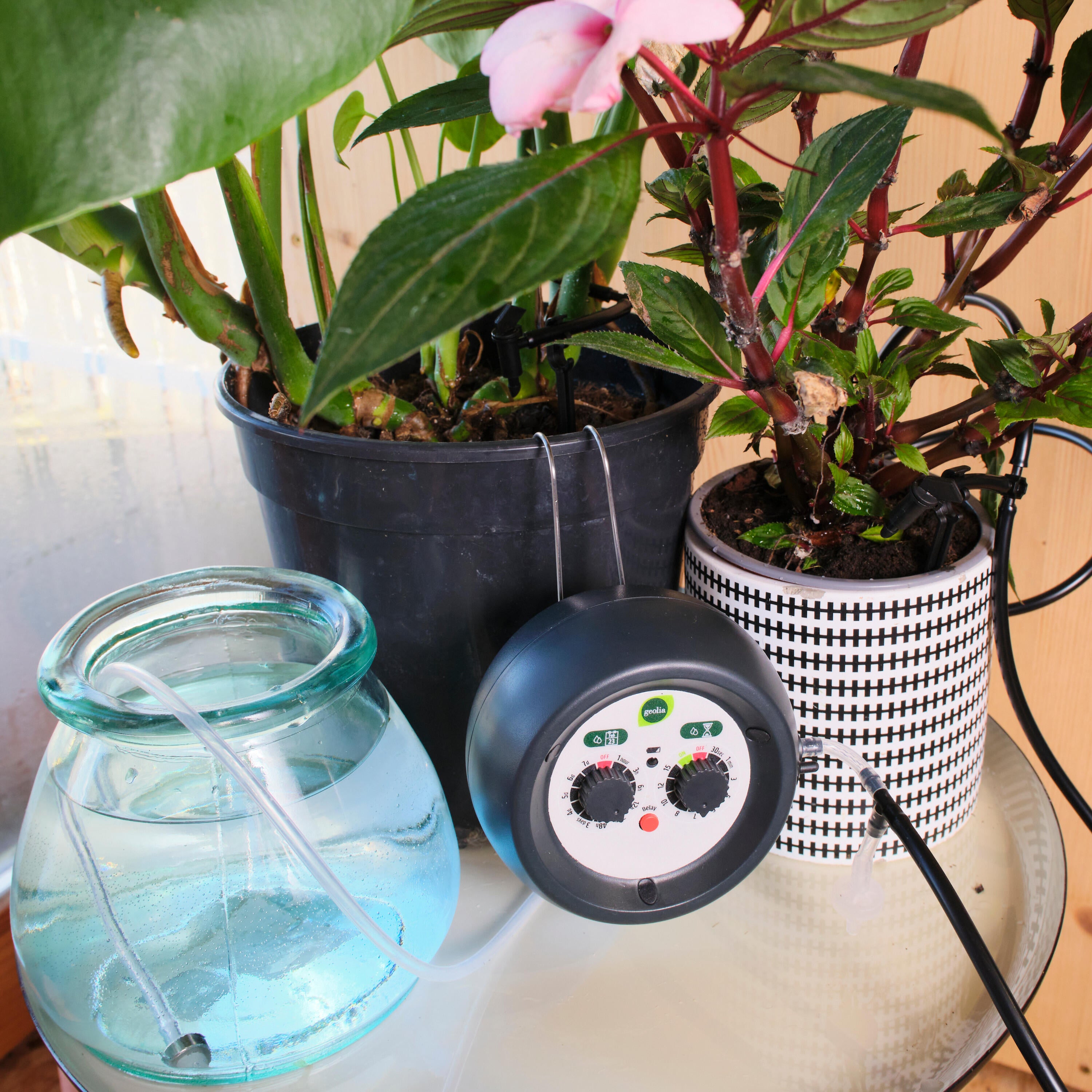 Kit goutte à goutte 12 pots + minuteur GEOLIA L.10 m Diam.4 mm - 5