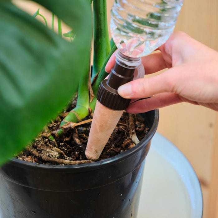 set-4-gocciolatori-bottiglia-autoirrigante-20cl-installazione-geolia