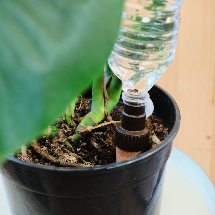 set-4-borraccia-autoirrigante-20cl-carattere-gocciolatori-sticas-de-geolia