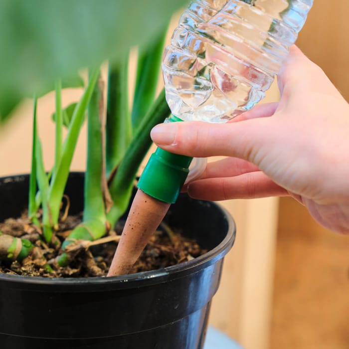 gocciolatore-bottiglia-autoirrigante-10cl-installazione-geolia