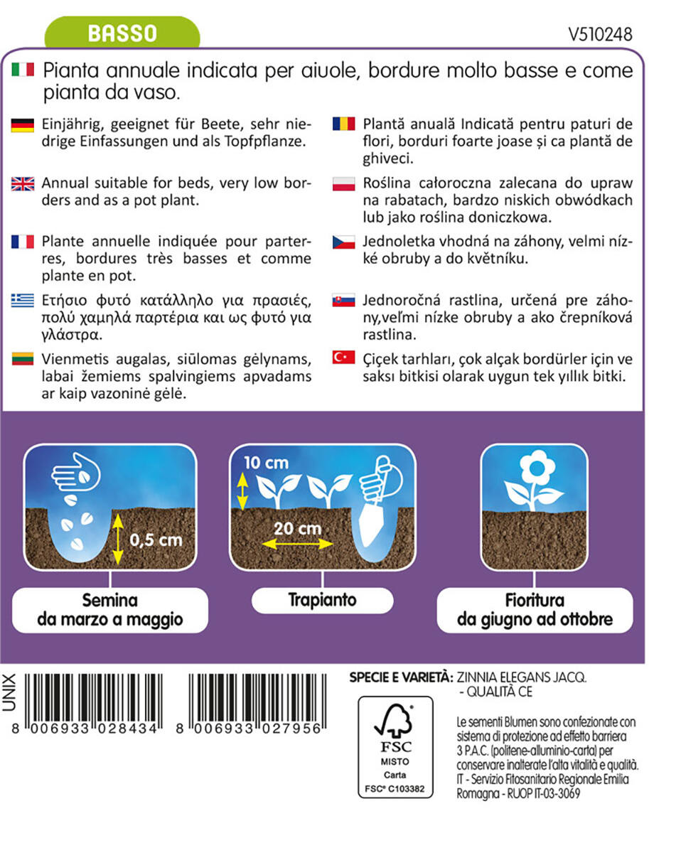 Semi di zinnia thumbelina nana da bordura BLUMEN - 2