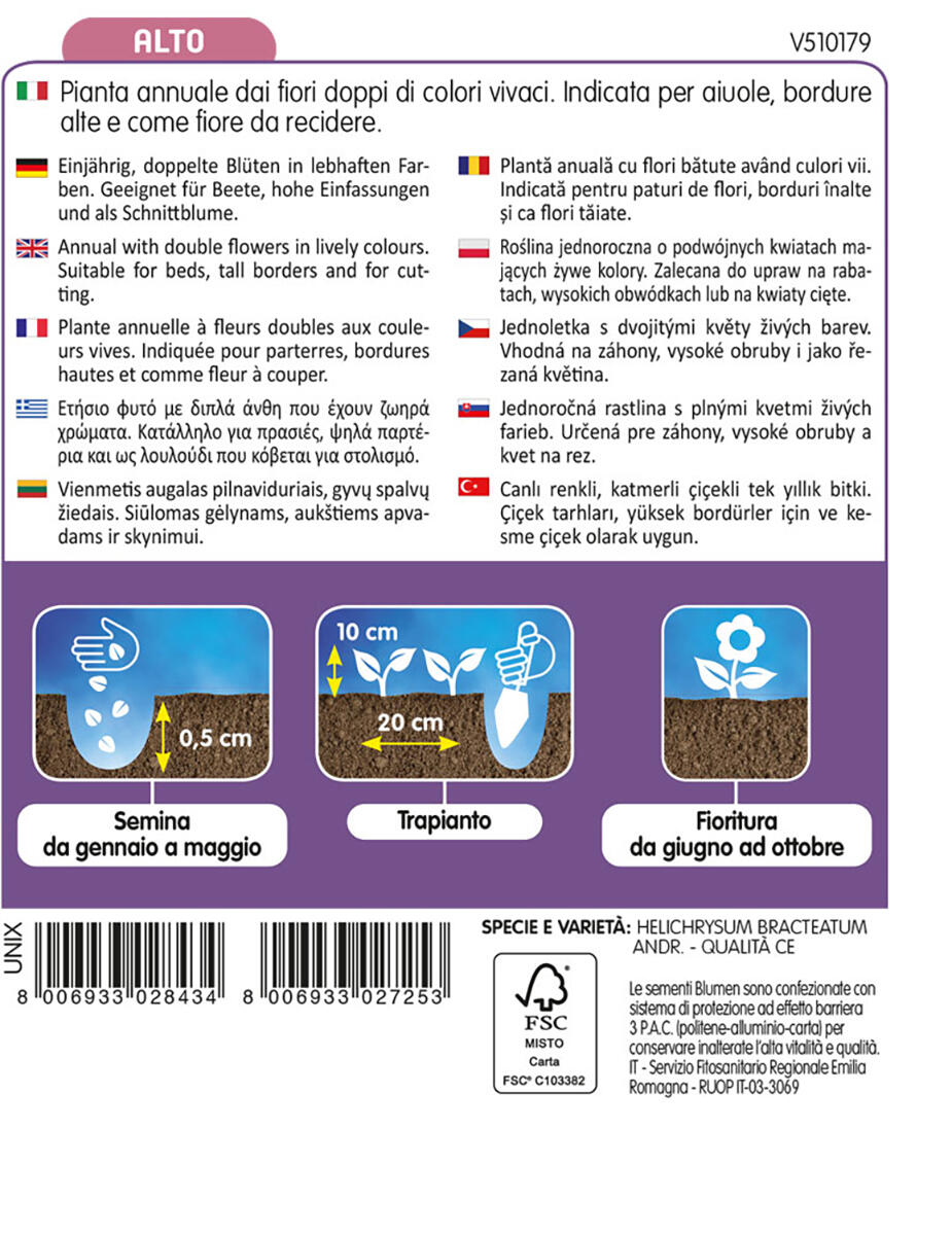 Semi di helicrysum in miscuglio BLUMEN - 2