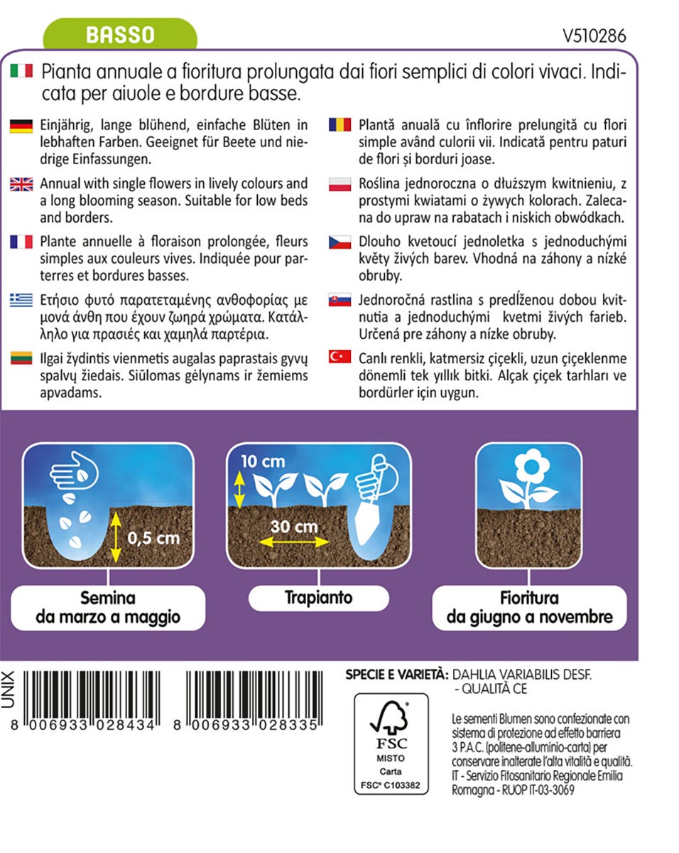 Semi per fiori di Dalia BLUMEN 1 g - 2