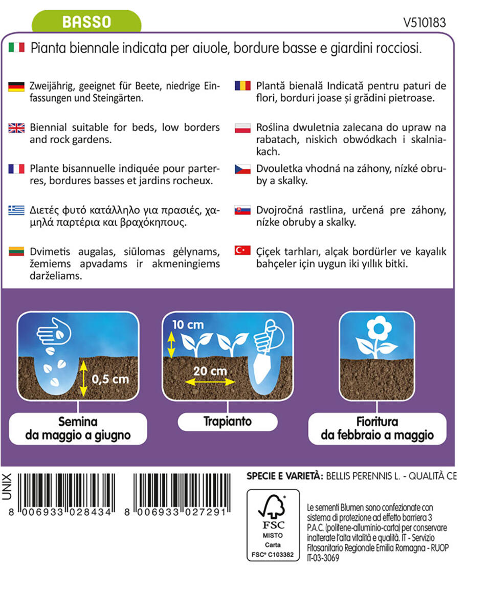 Semi di bellis perennis o margherita a pompon BLUMEN 0.01 g - 2