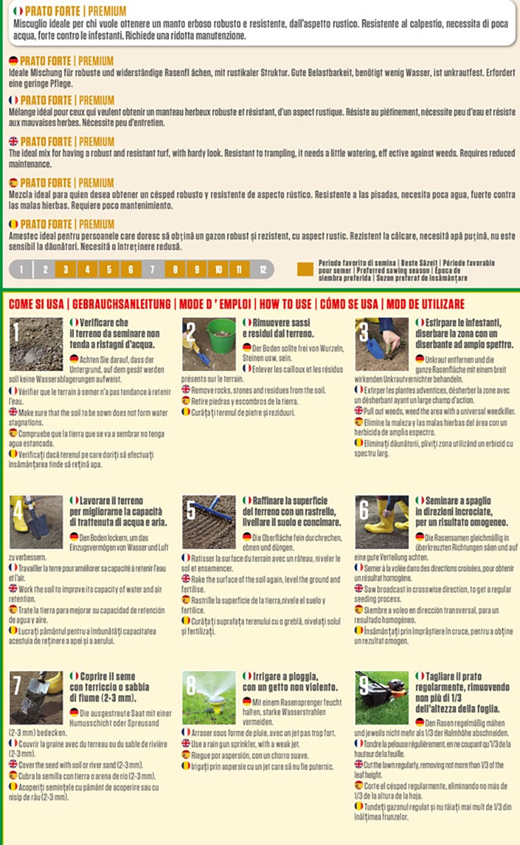 Seme per prato BLUMEN Verde Universale 1 kg - 2