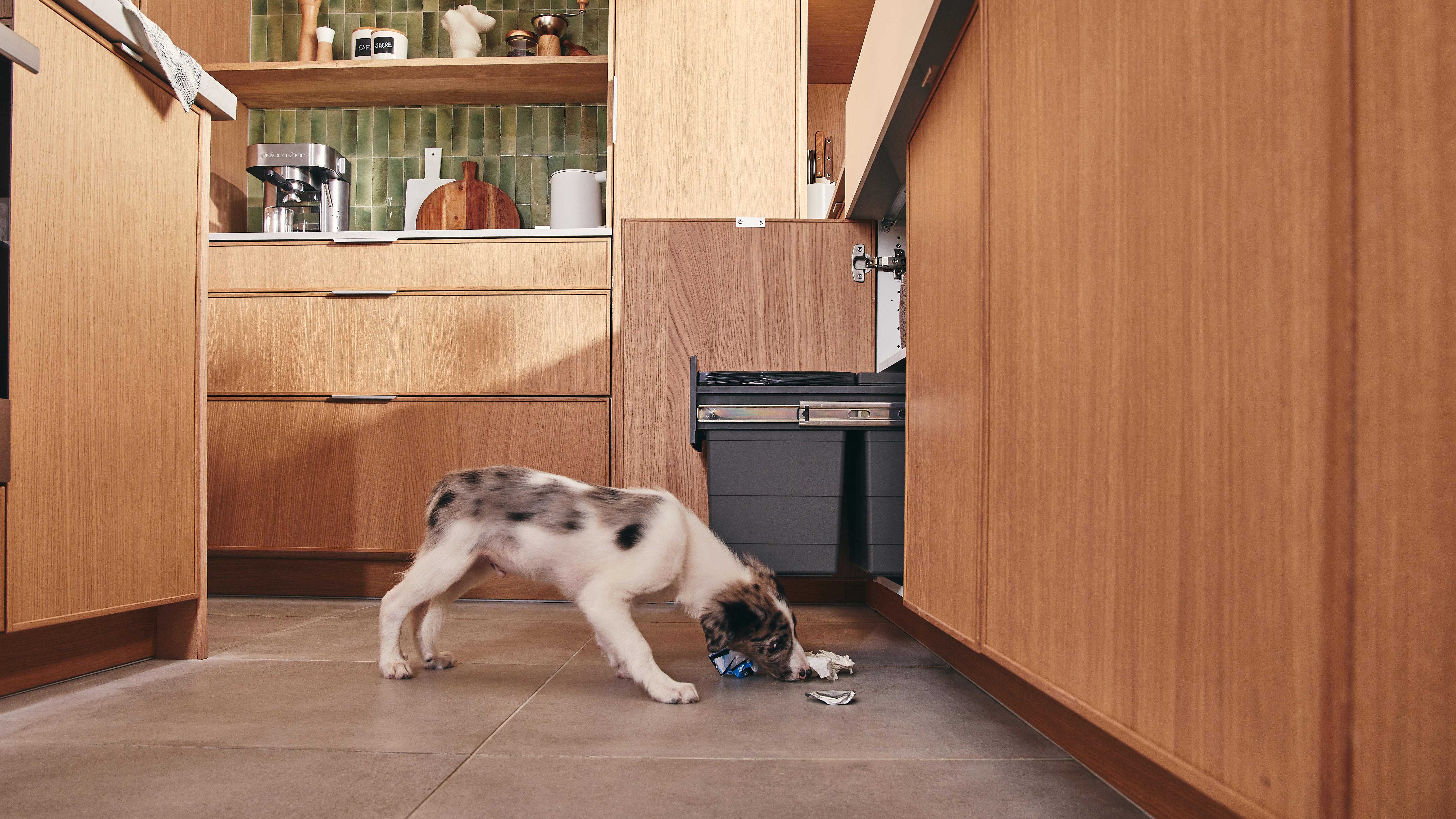 Porta de cozinha Delinia Malmo 45x77 cm carvalho - 2