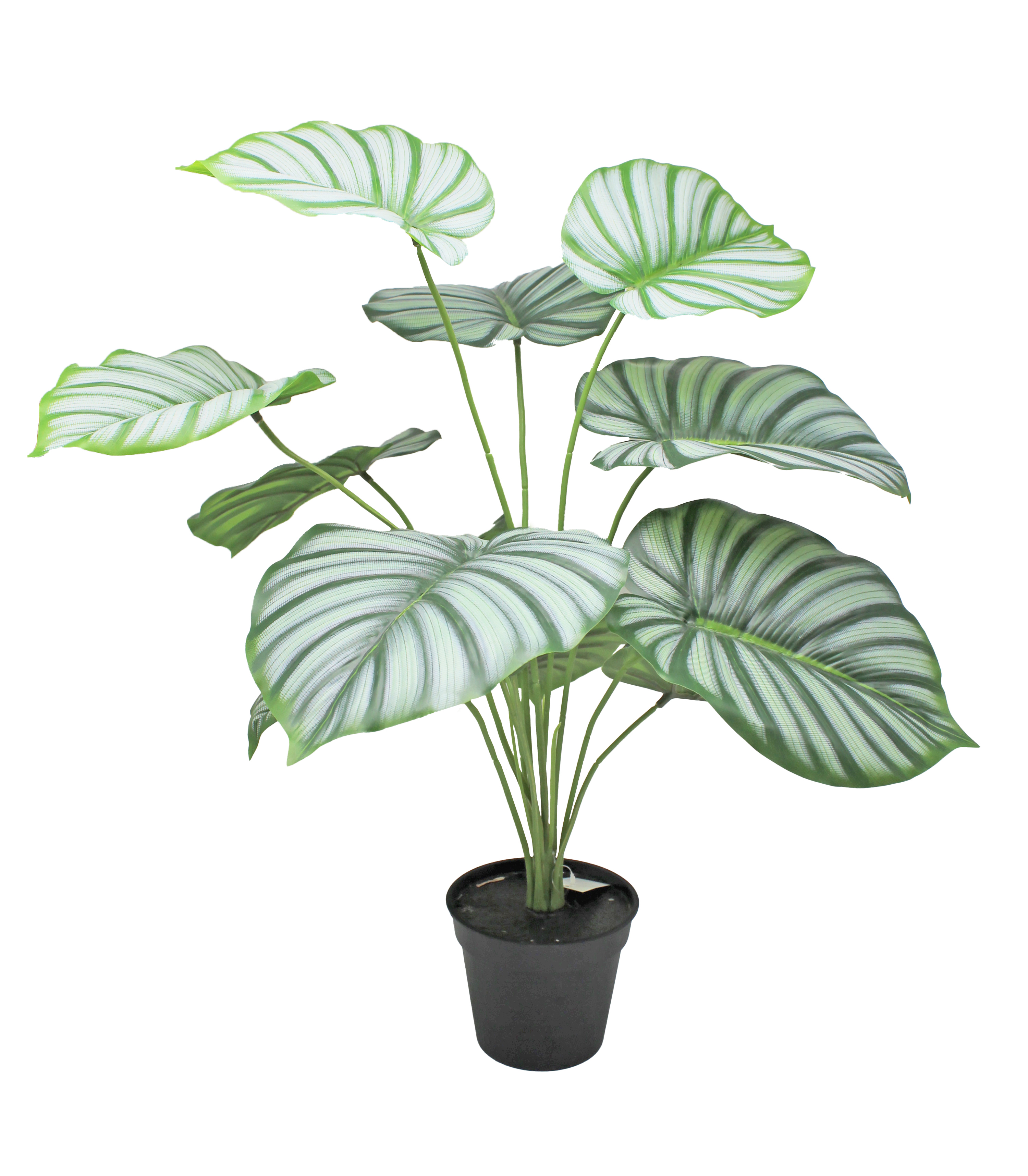 Planta artificial en maceta calatea de 60 cm de altura
