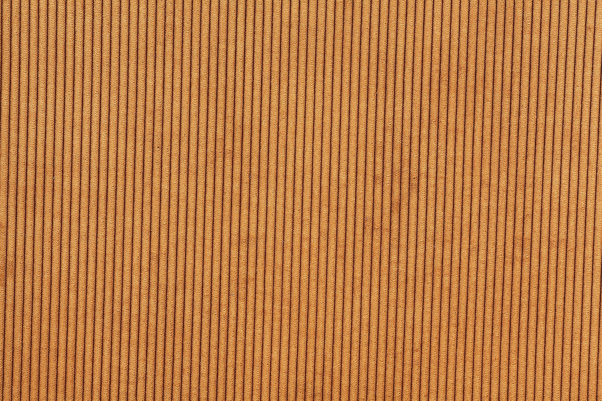 Rideau occultant thermique, Alberta, marron H.260 x l.140 cm - 2