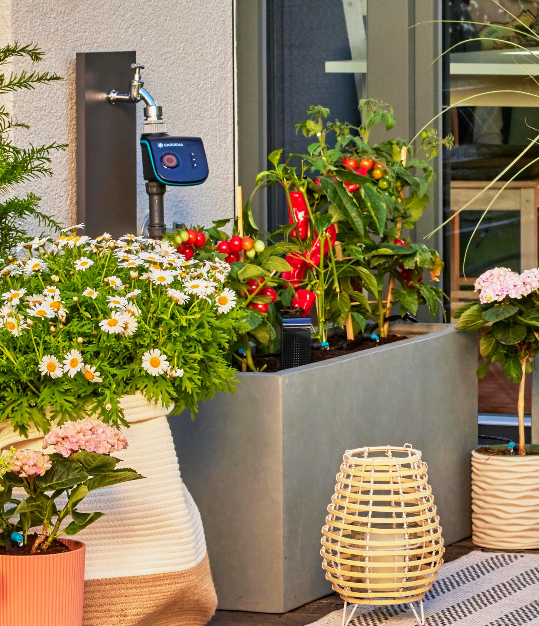 Programador de riego para grifo GARDENA smart wifi - 14