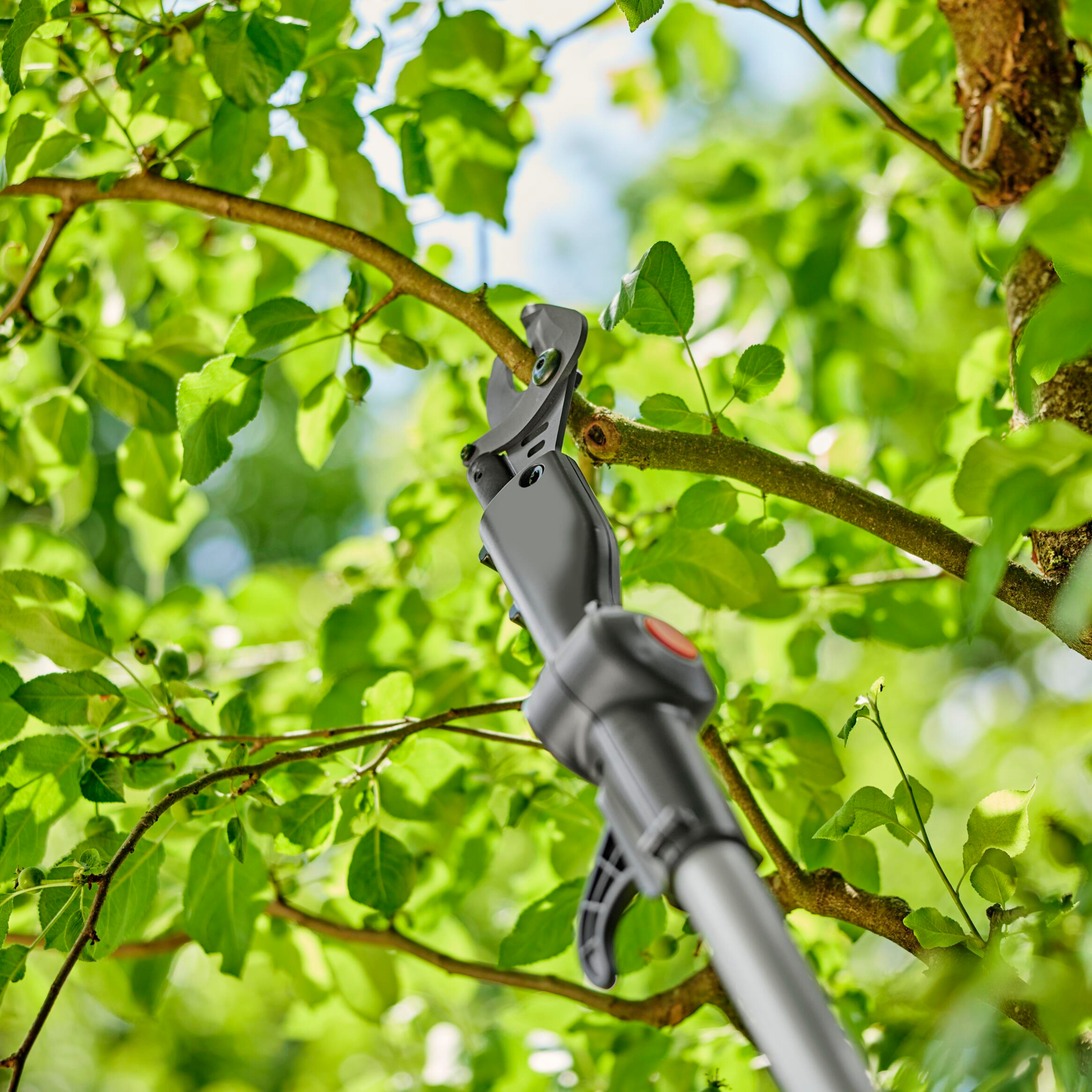 Coupe branches à hauteur ajustable GARDENA - 2