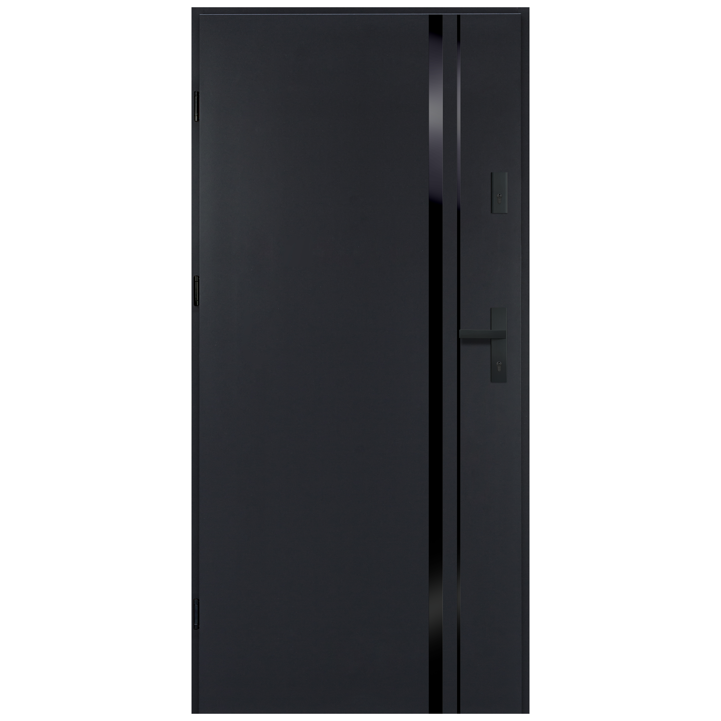 Drzwi wejściowe TANOS Antracytowy 100 Lewy OK DOORS TRENDLINE