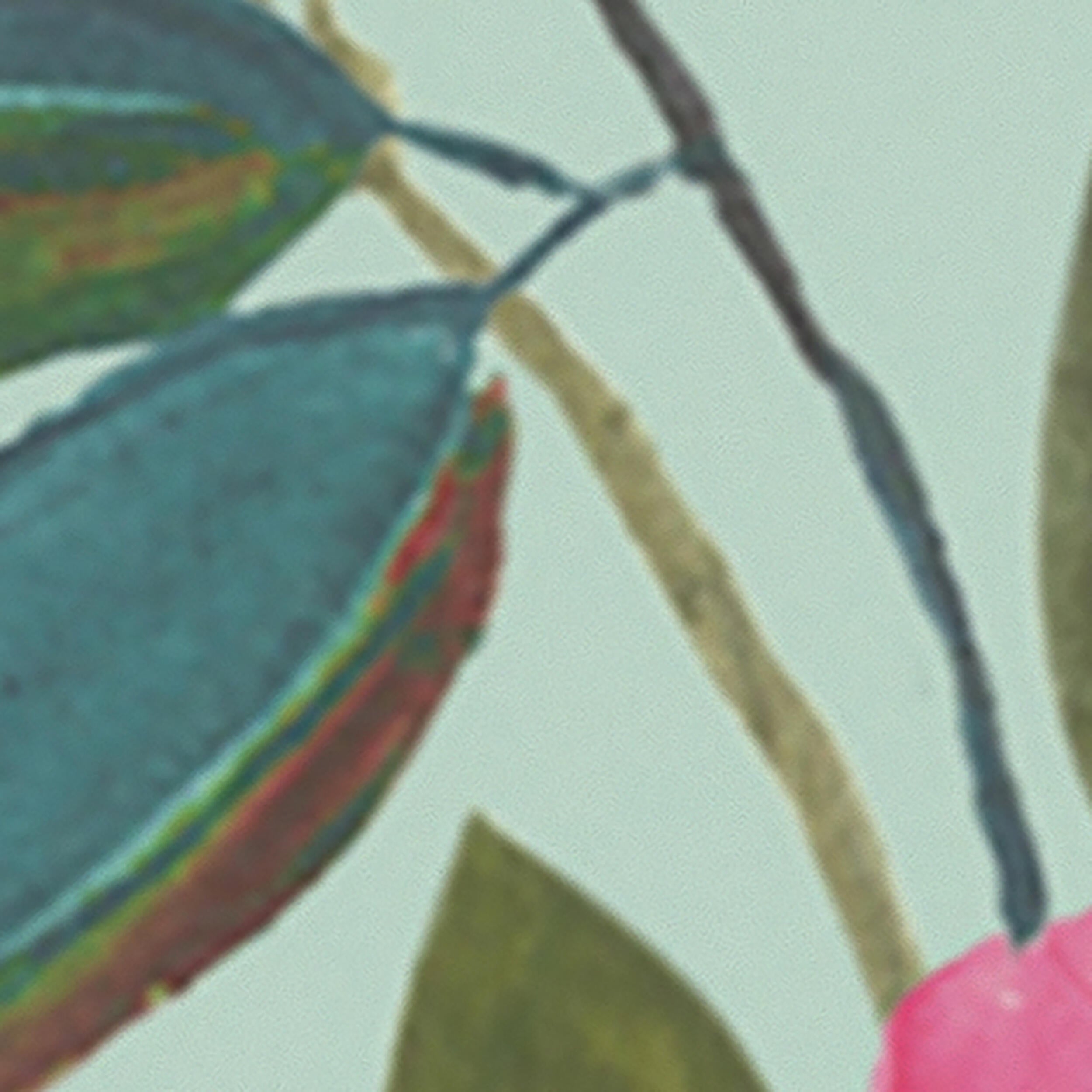Tapeta panoramiczna The Wall Kwiaty Pink 159 x 280 cm - 3
