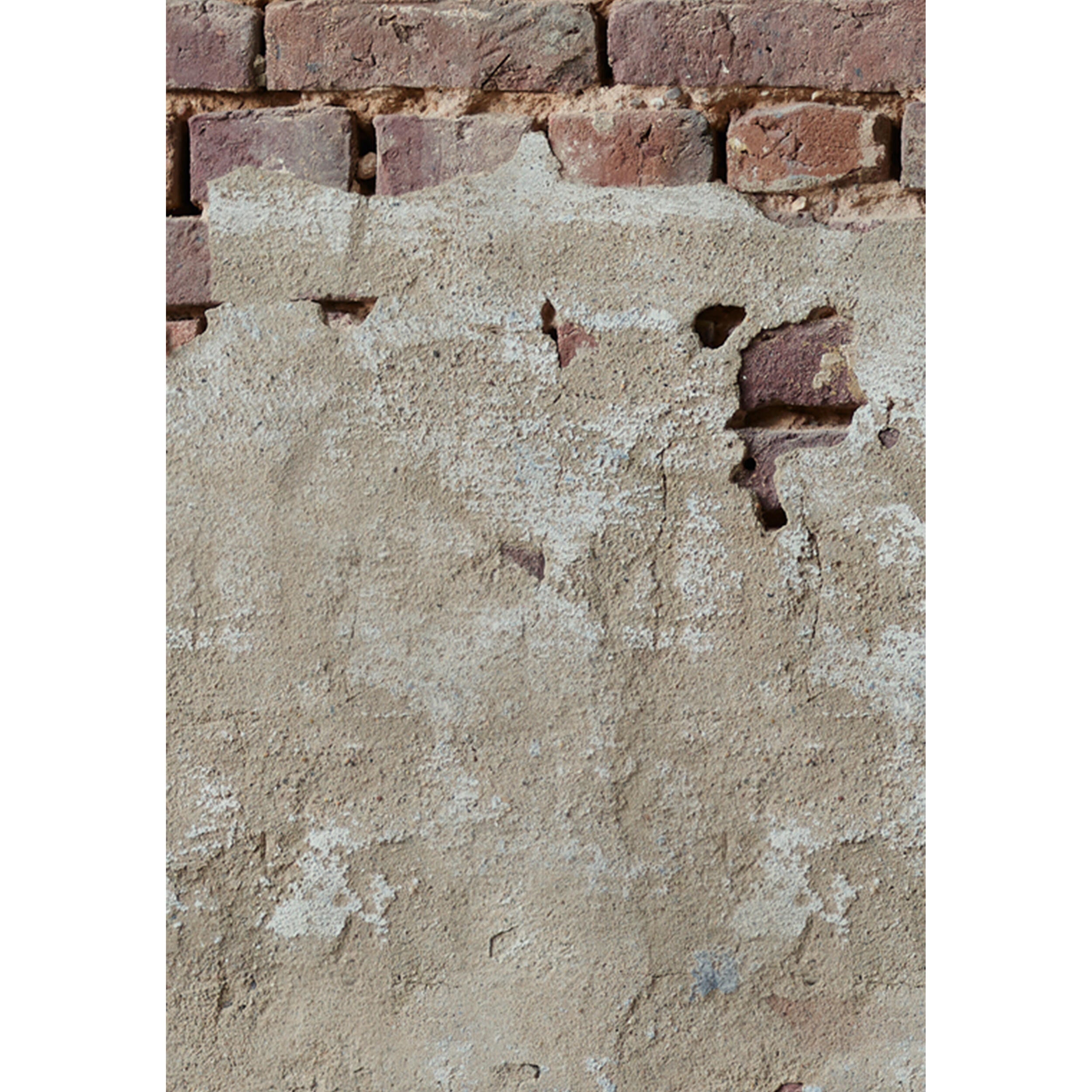 Tapeta panoramiczna The Wall Mur Przetarty Tynk 159 x 280 cm - 3