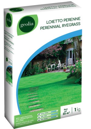 Semi Prato Universale - Kg.1 Per Mq.50 Di Prato - Foto 1