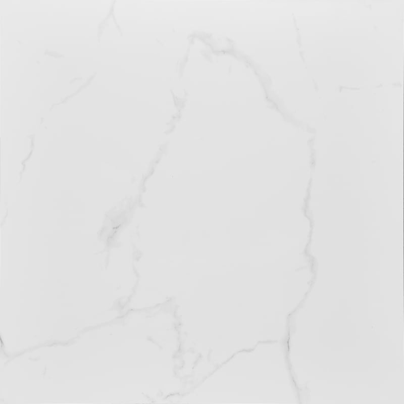 Gres szkliwiony Calacatta Silver 60x60 Artens