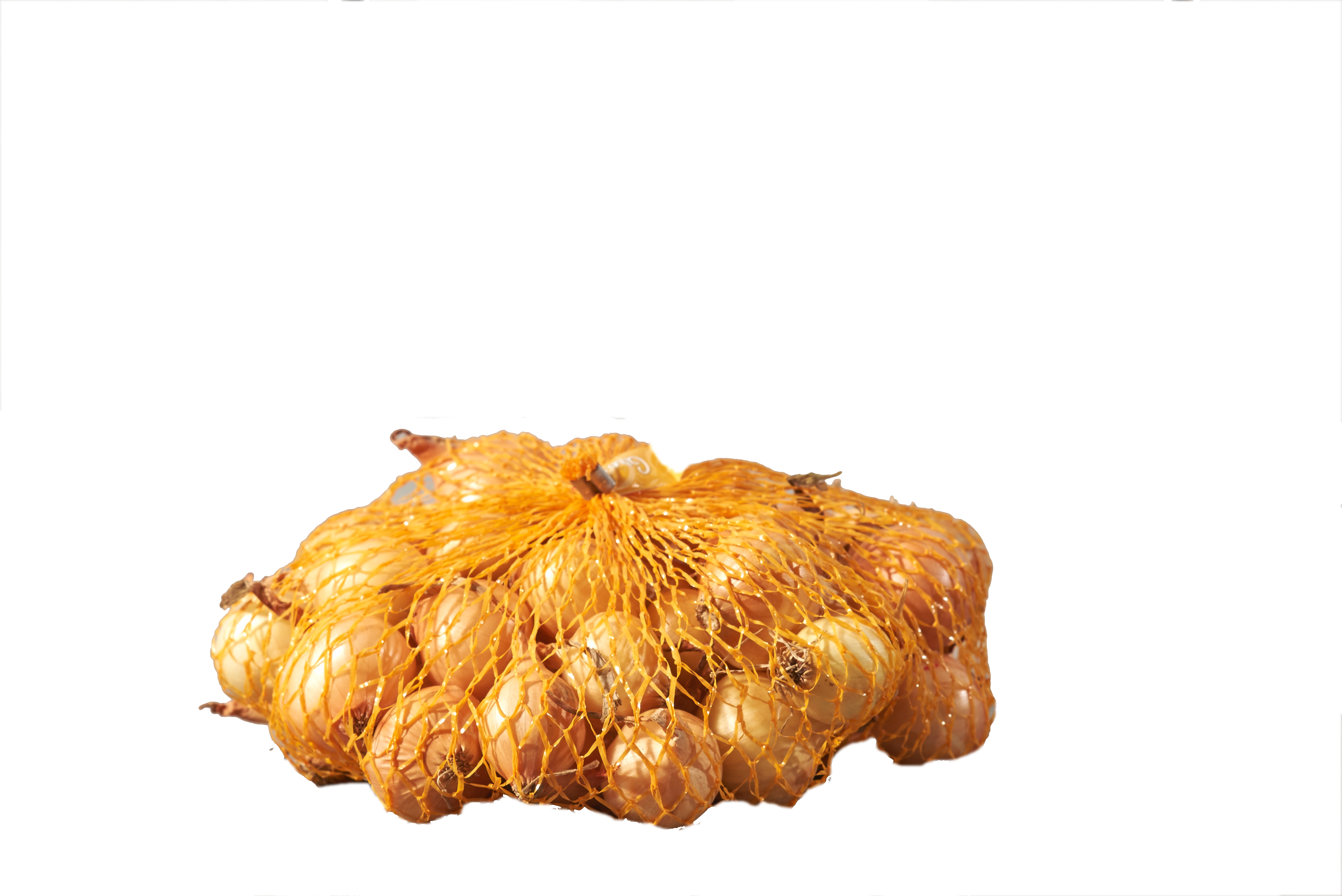 Cebula dymka Stutgart Riesen 250g Geolia