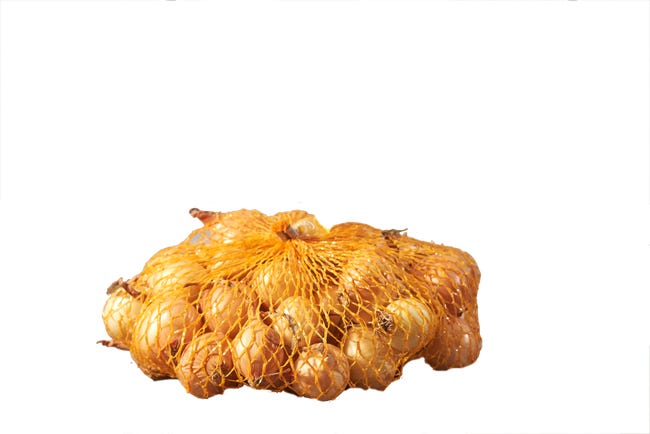 Cebula dymka stutgart riesen 250g geolia 89947652