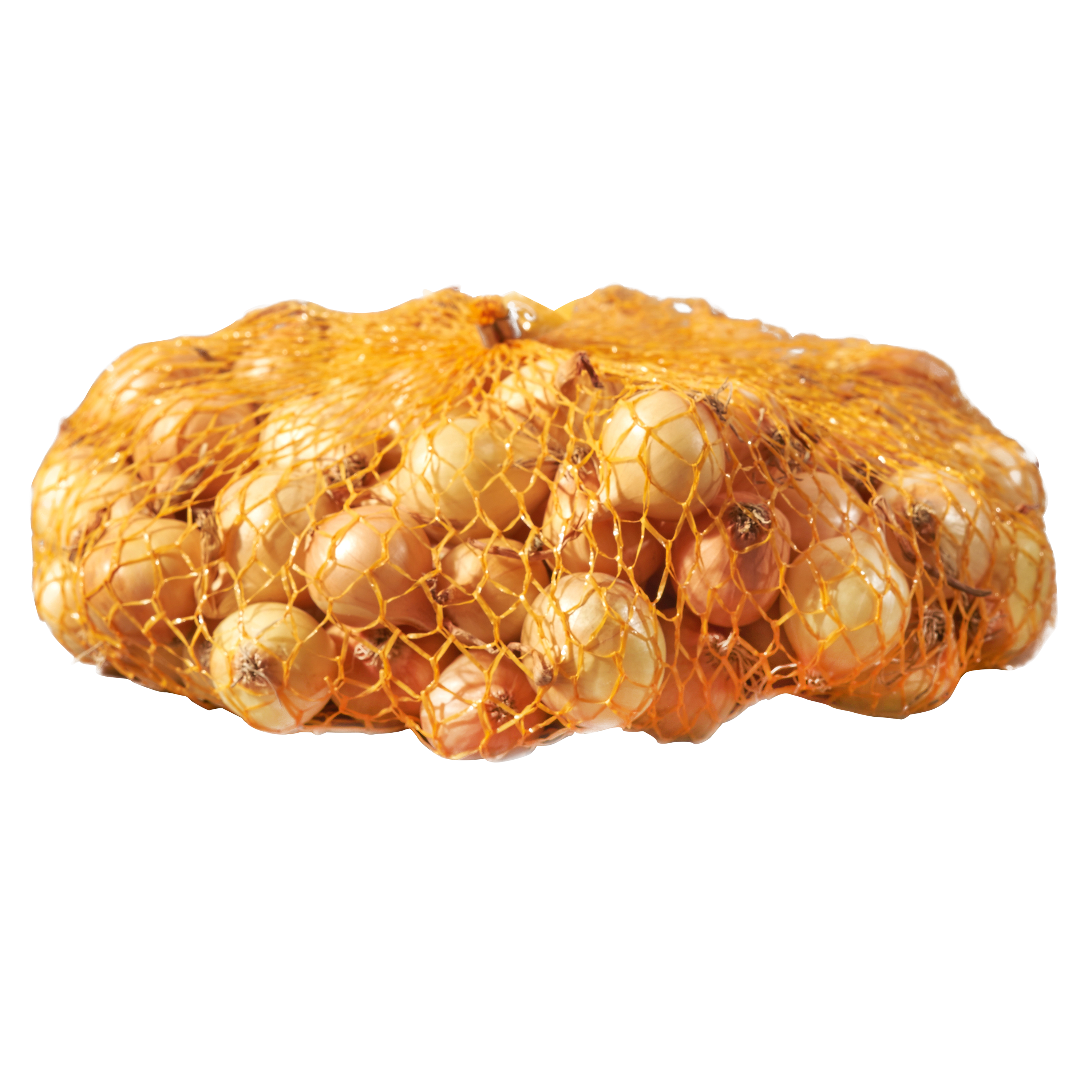 Cebula dymka Stutgart Riesen 500g Geolia