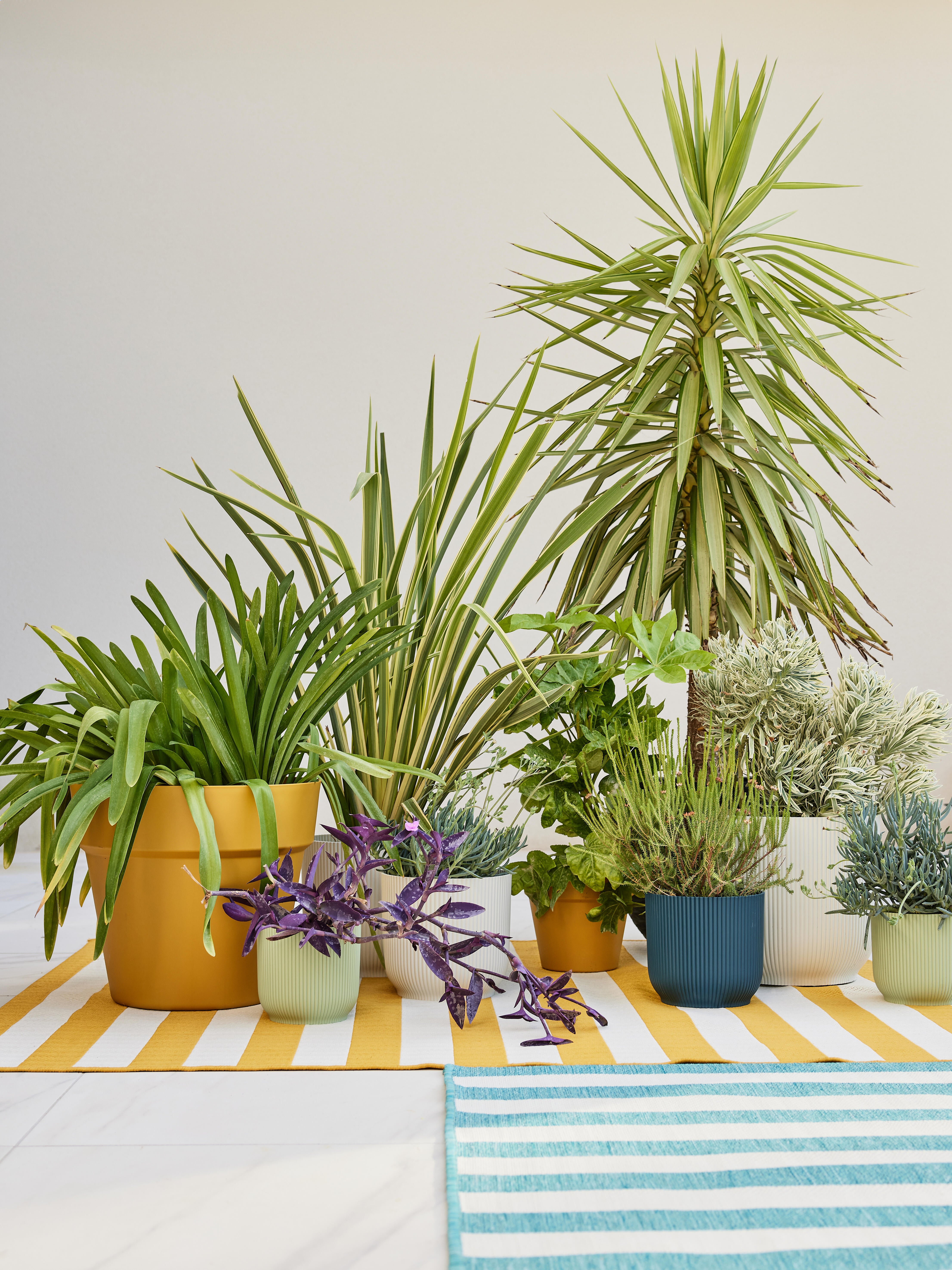 Pot de fleur rond ELHO D.22 x H.20.2 cm bleu clair - 2