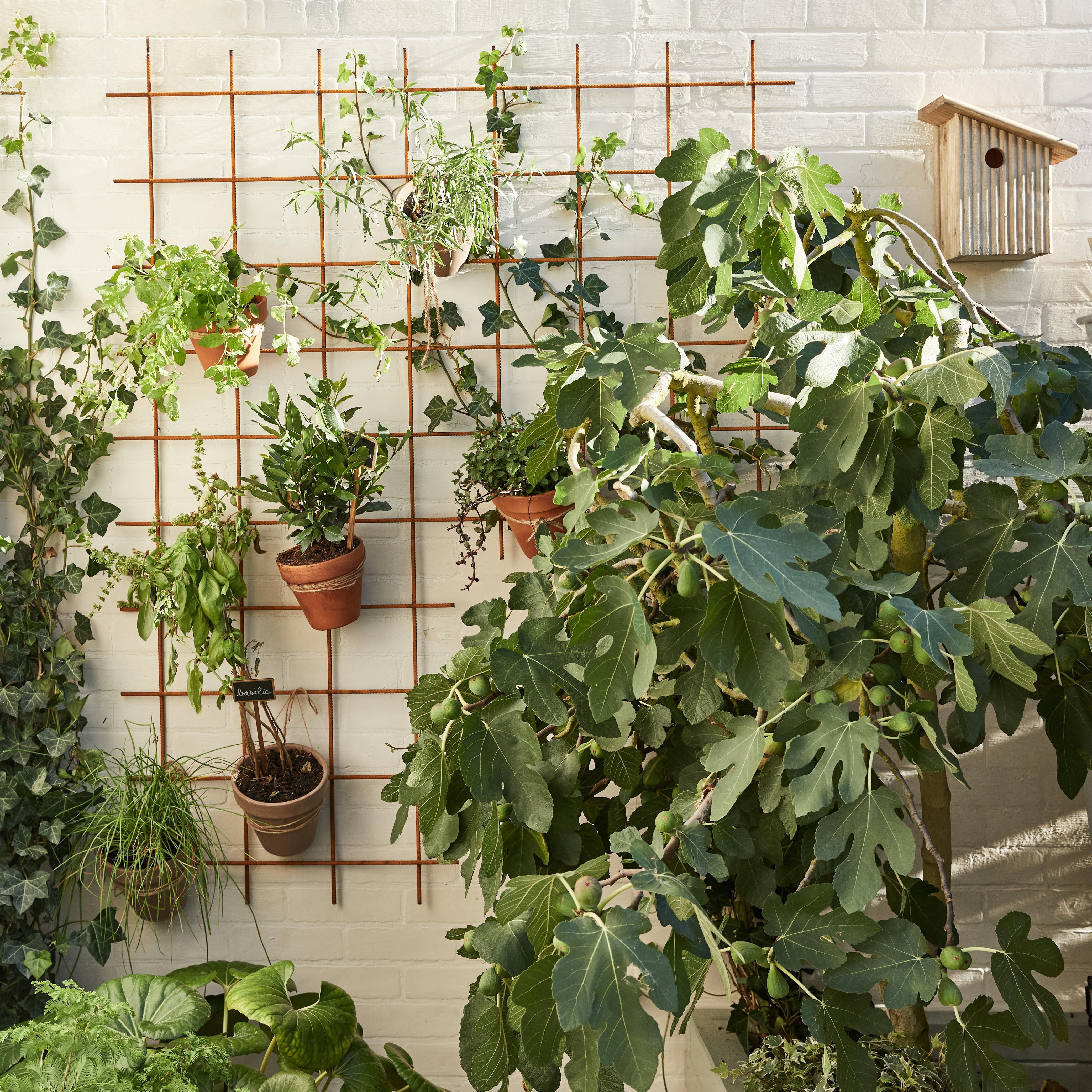 Corda juta 8 mm 10 metros Standers - 4