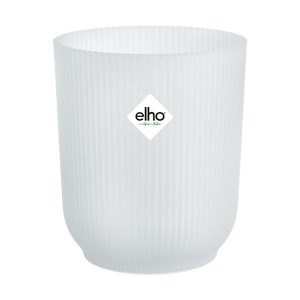 Vaso Per Orchidee In Plastica Trasparente 17,8 Cm Con Fori Di Drenaggio E Sottovaso