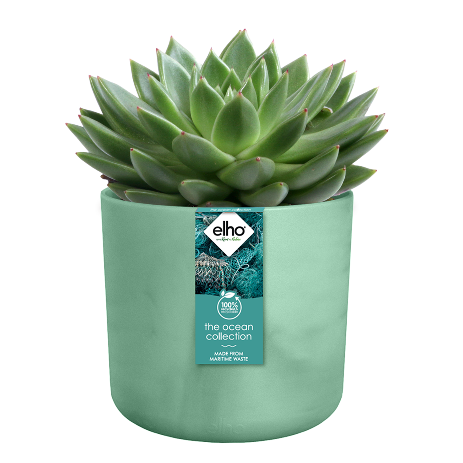Coprivaso verde ELHO in polipropilene H 20.4 x ø 22 cm - 6