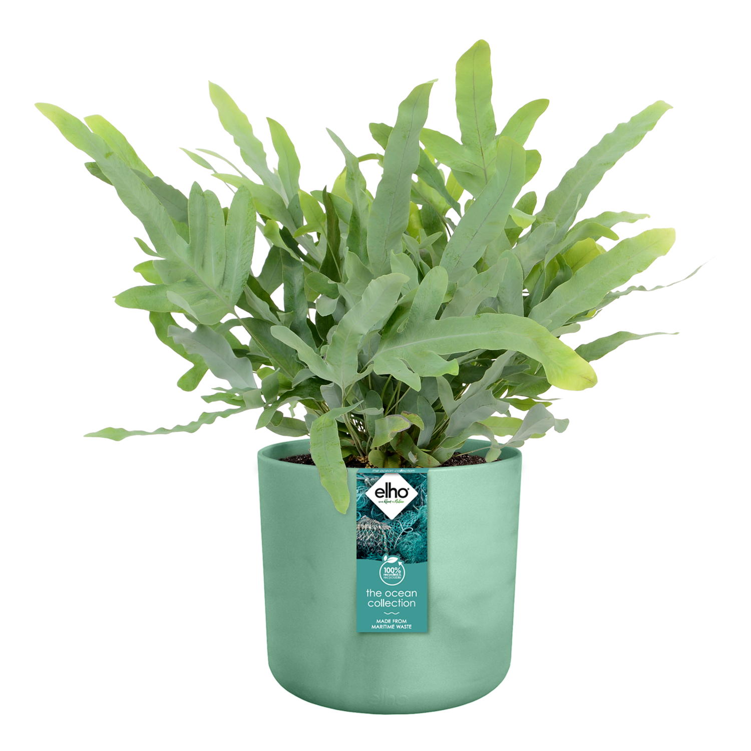 Coprivaso verde ELHO in polipropilene H 20.4 x ø 22 cm - 4