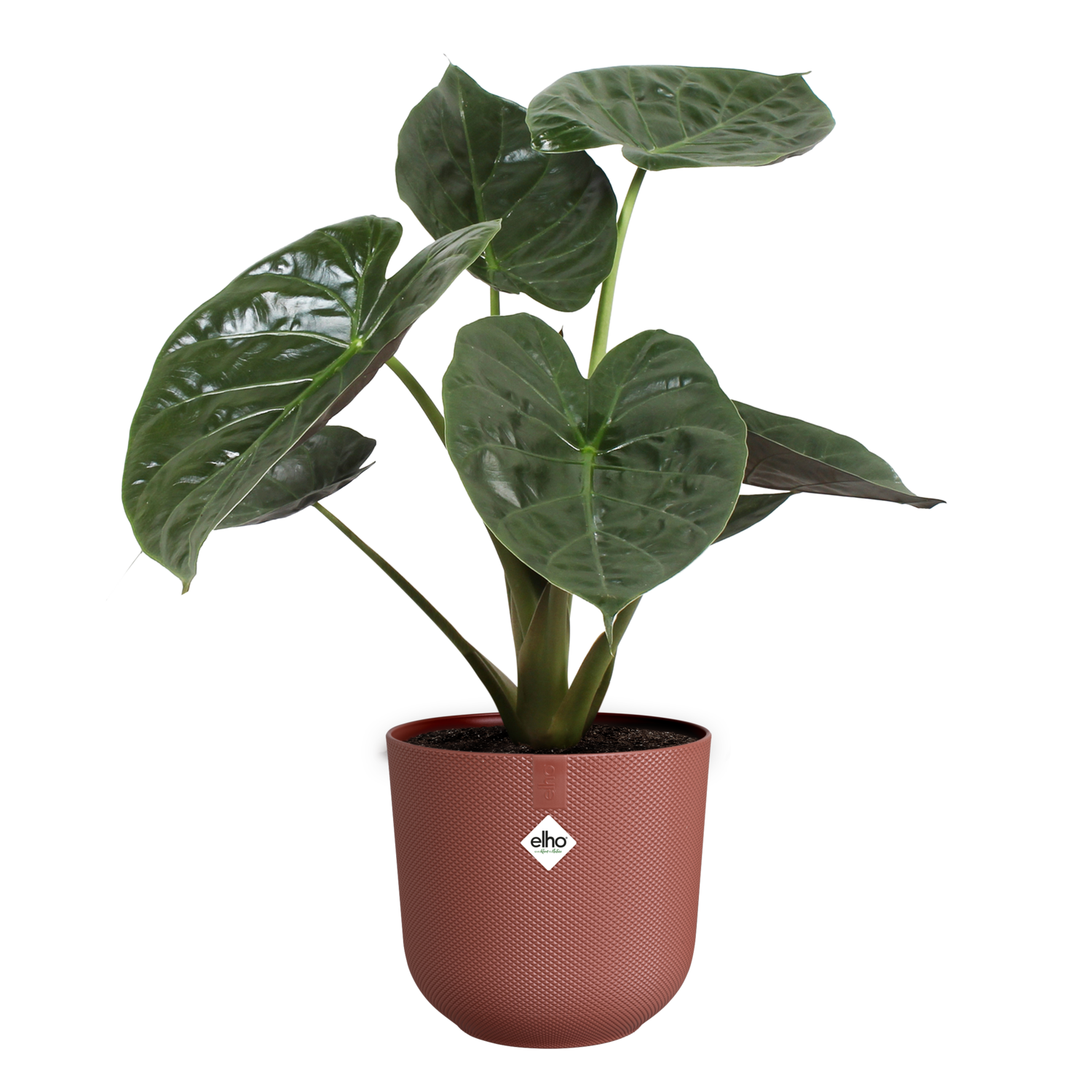 Plant pot Elho rouge 35 x 34,5 x 26 cm