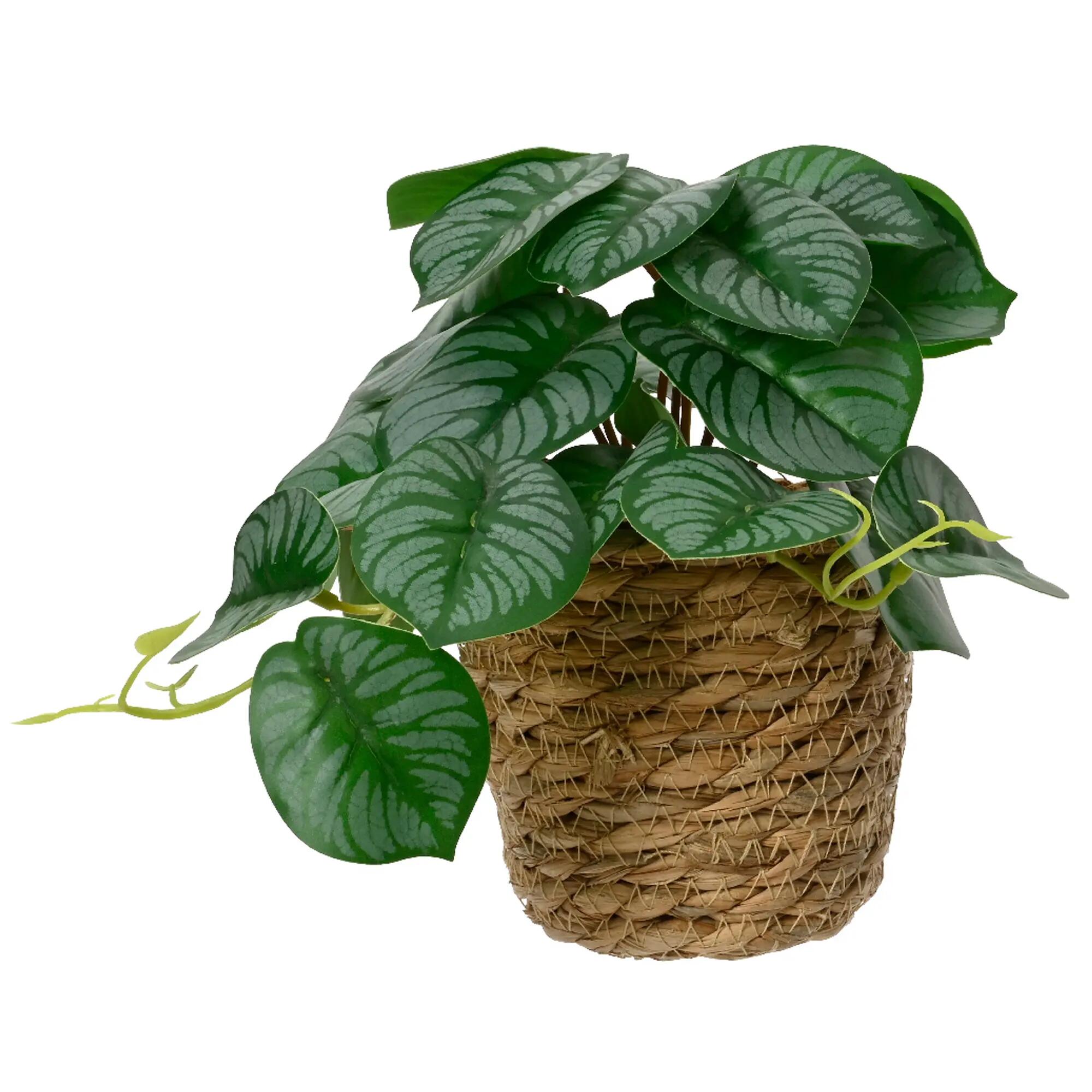 Planta artificial en maceta 21cm