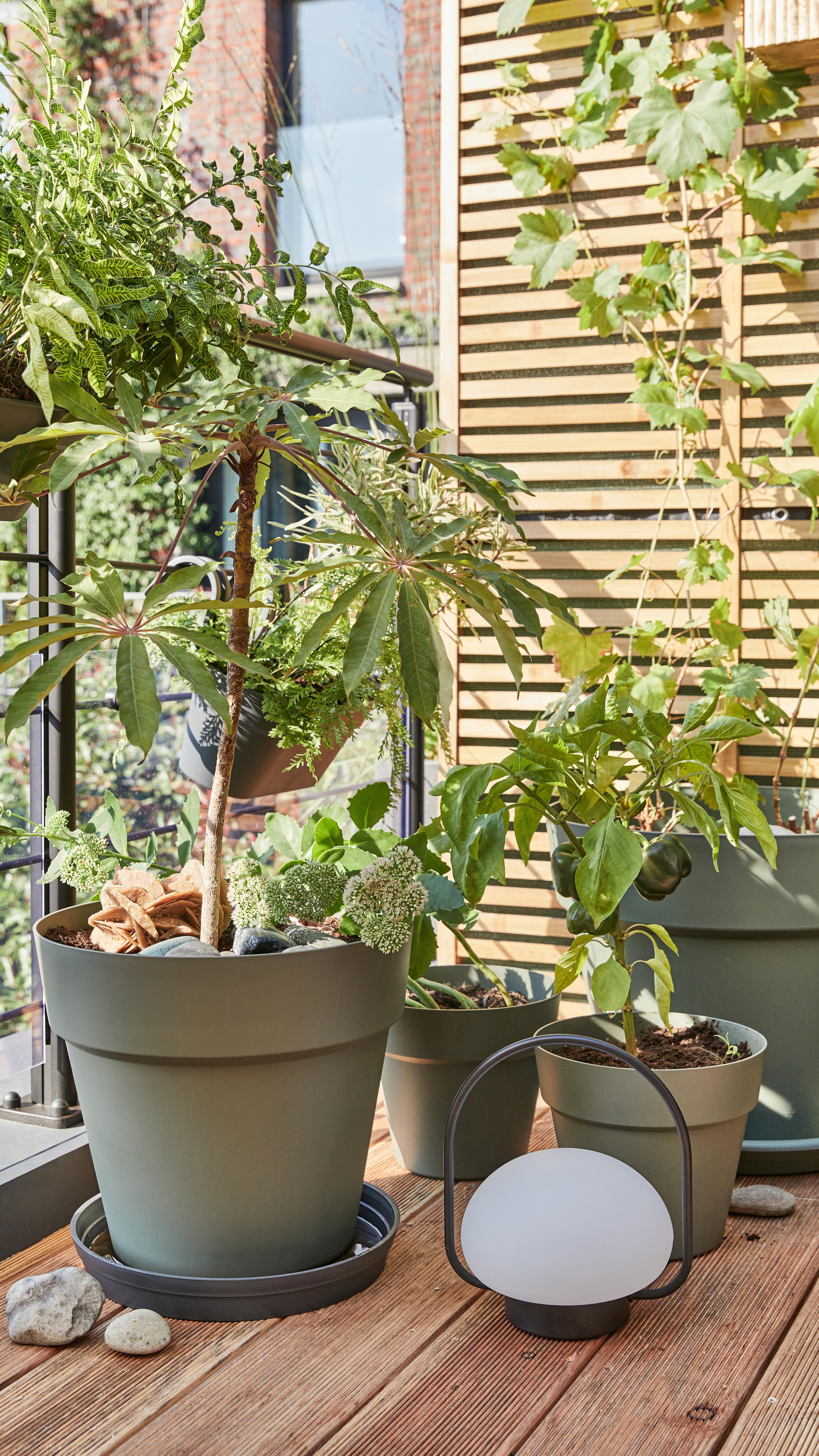 Pot polypropylène NATERIAL Naterial round 47 olive green Diam.47 L.47 x l.47 x H - 6