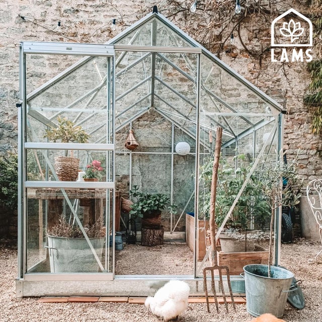 Serre fixe en verre trempé Allium venus, 4.96 m² LAMS