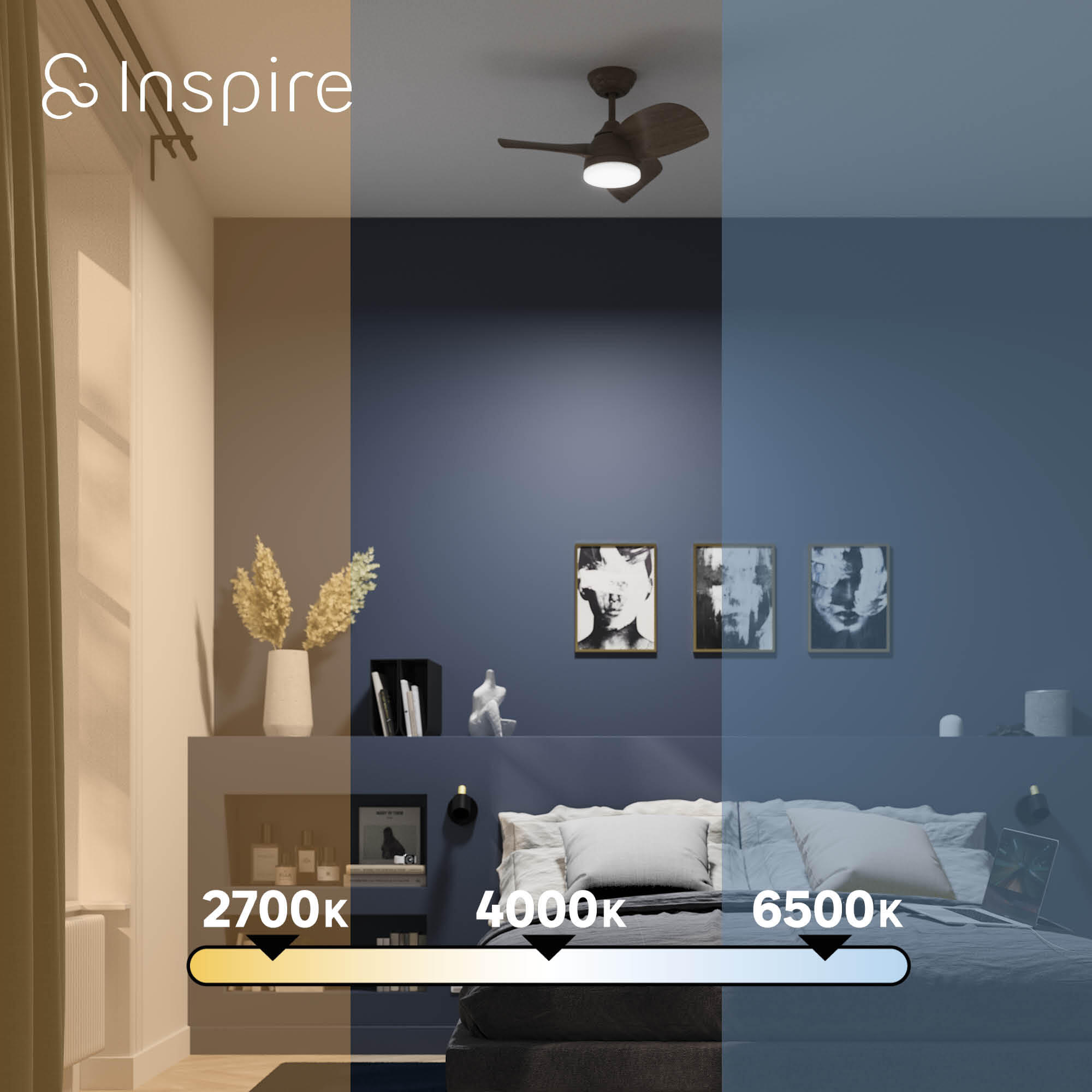 Ventilateur de plafond LED, Beach, 71 cm, INSPIRE, noyer - 3